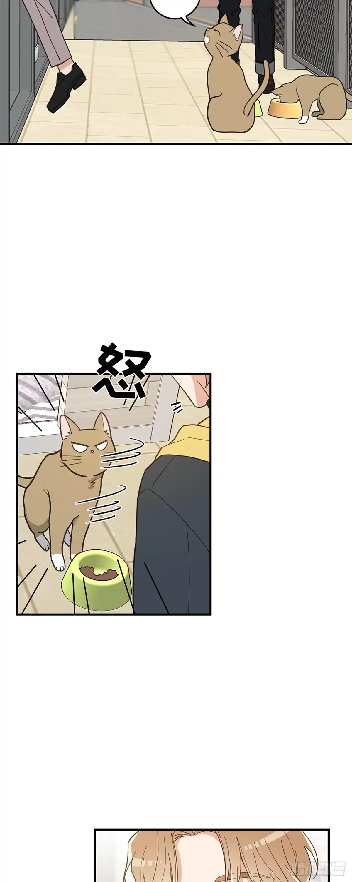 我独一无二的猫咪 第13话 第14页