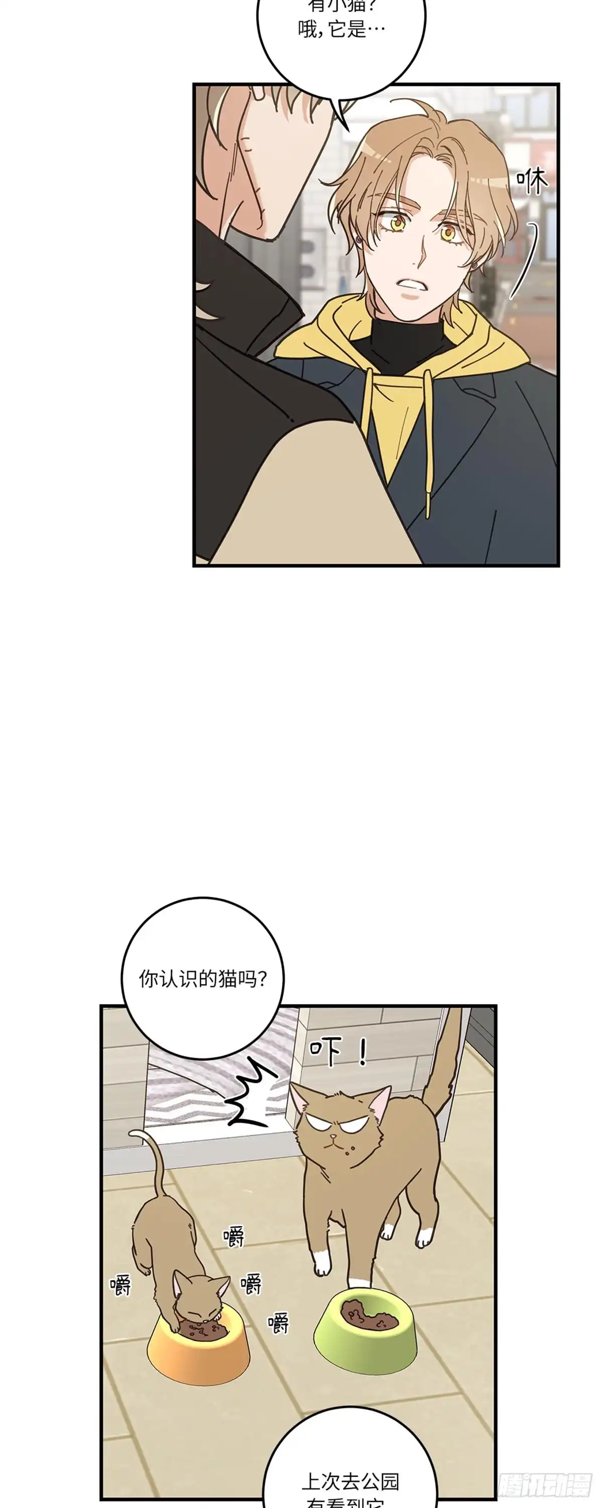 我独一无二的猫咪 第13话 第11页