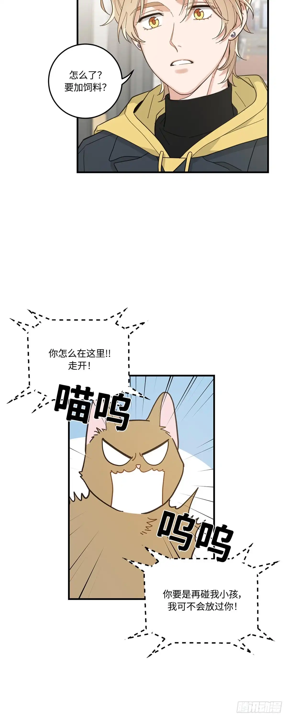 我独一无二的猫咪 第13话 第15页