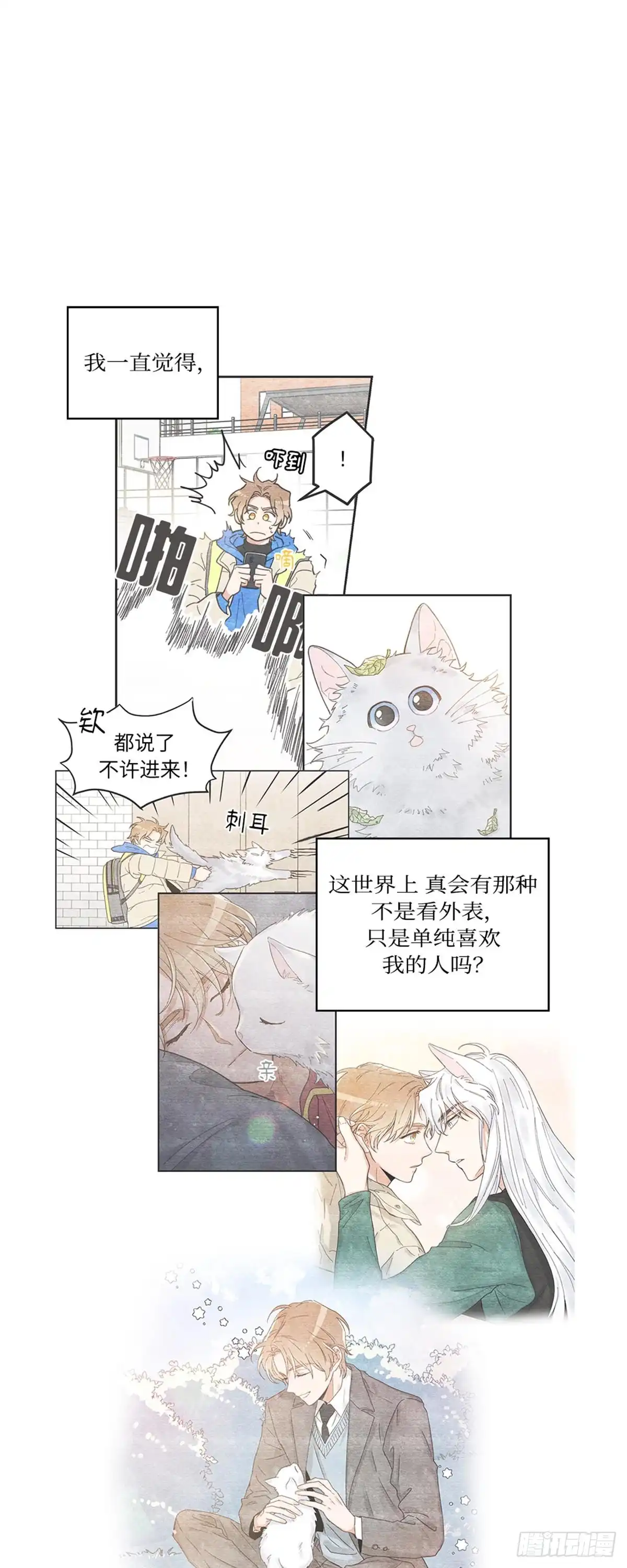我独一无二的猫咪 第16话 第40页