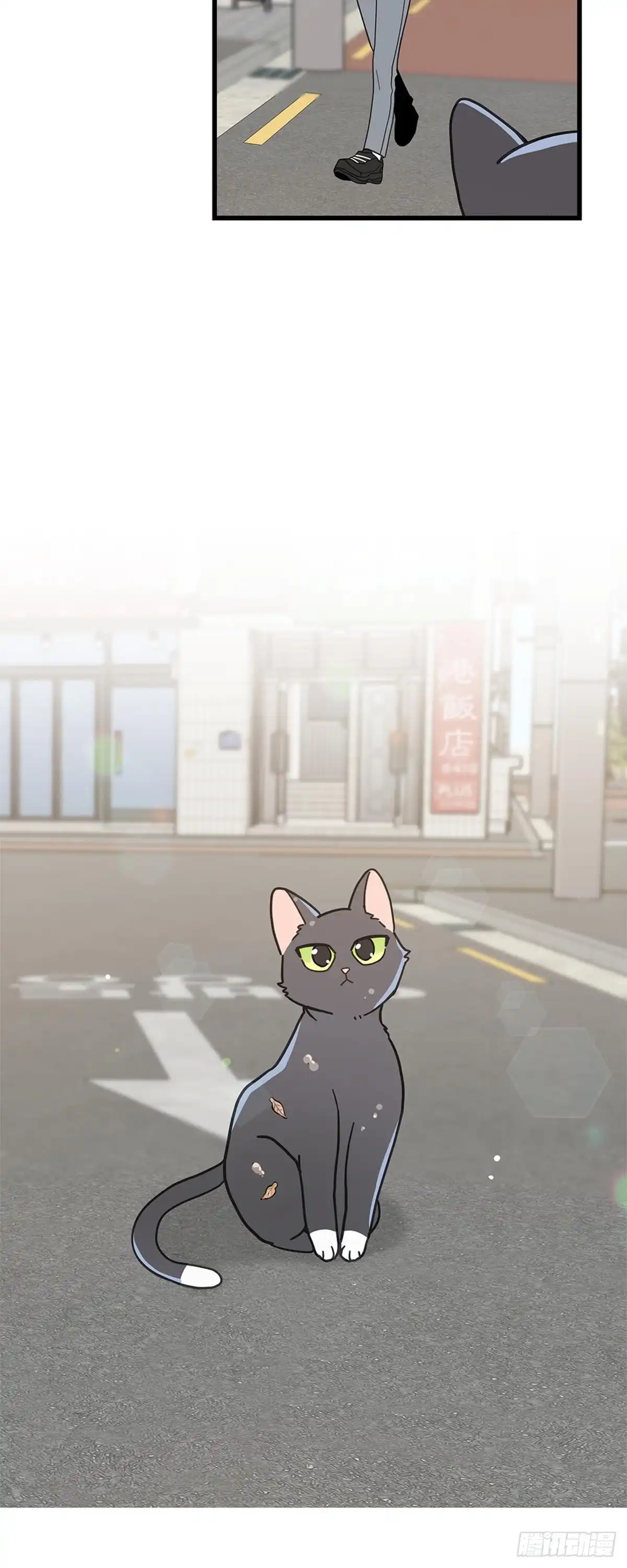 我独一无二的猫咪 第17话 第17页