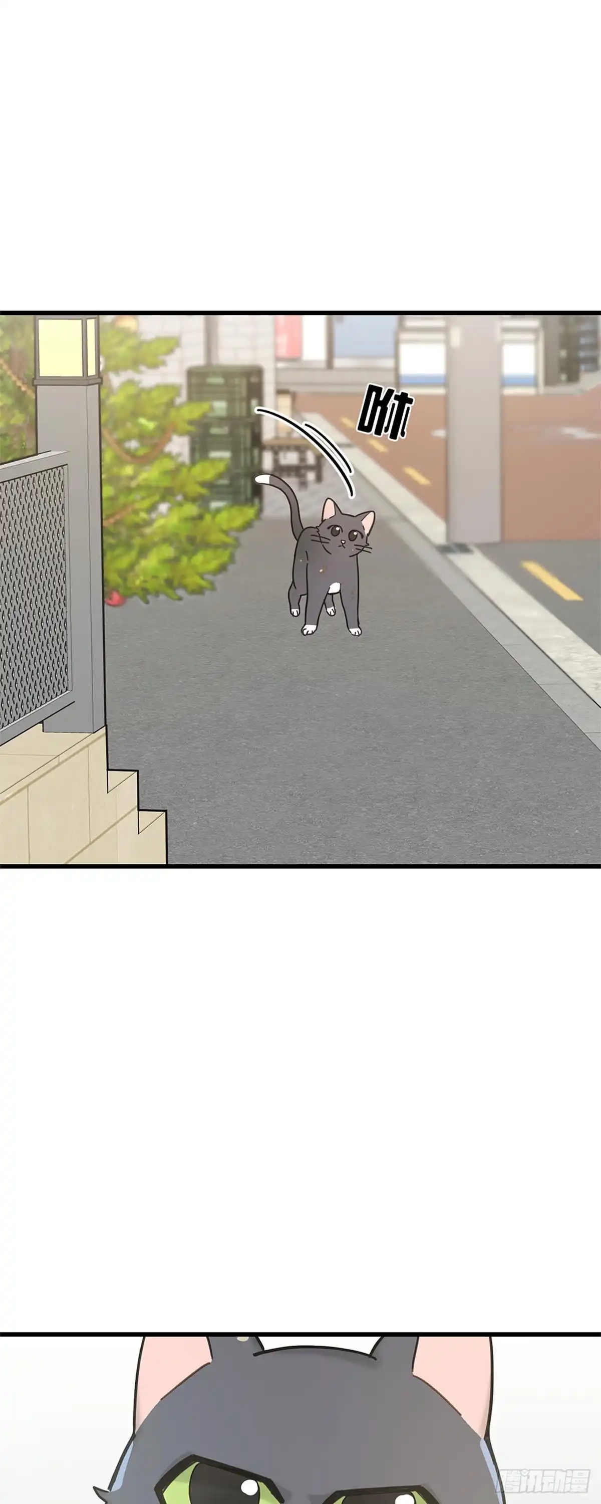 我独一无二的猫咪 第17话 第32页