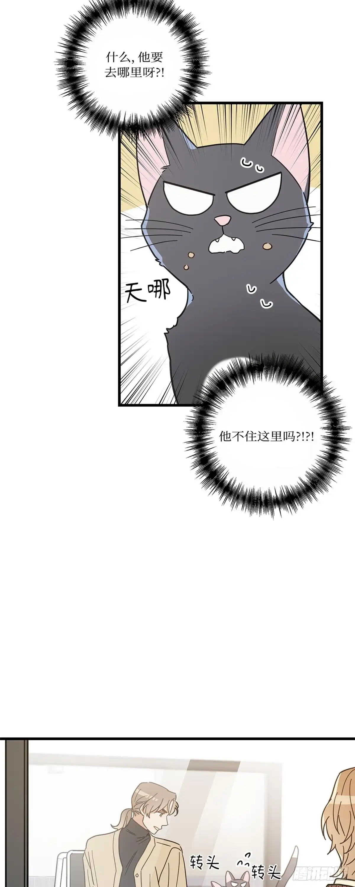 我独一无二的猫咪 第18话 第35页