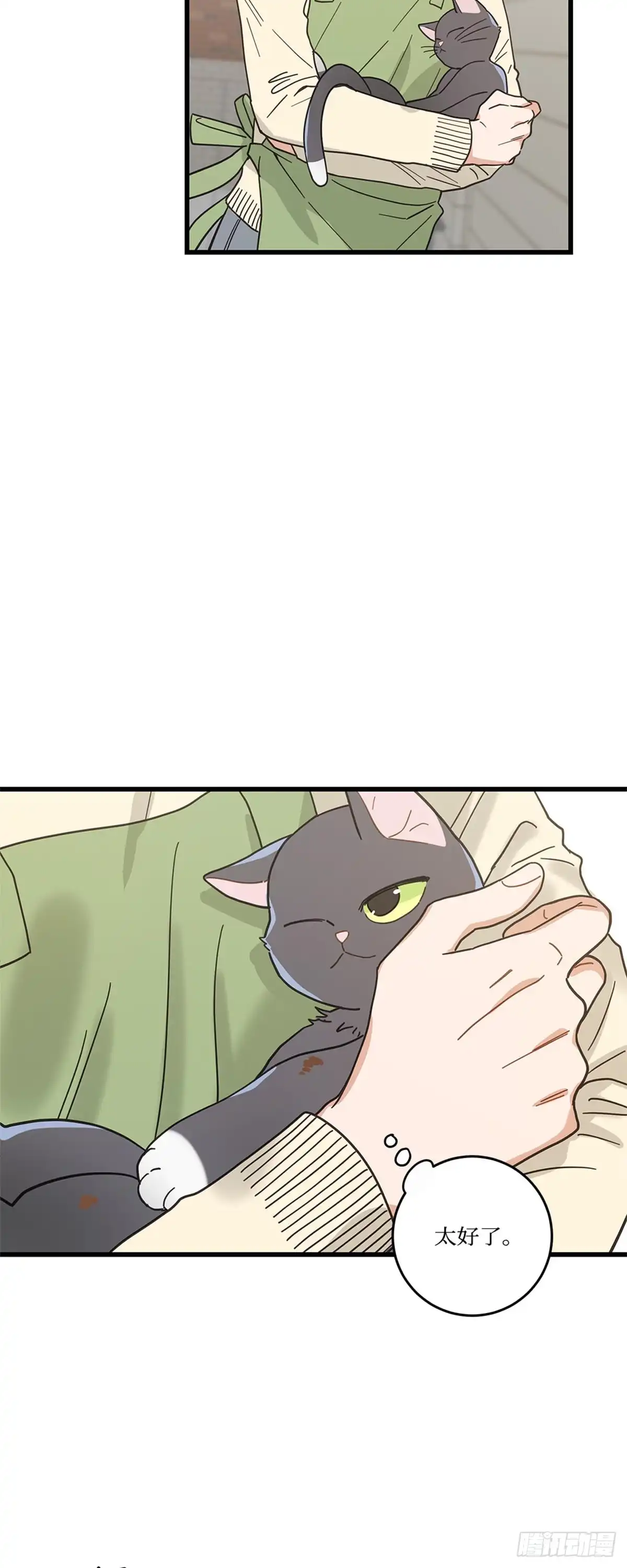 我独一无二的猫咪 第18话 第18页