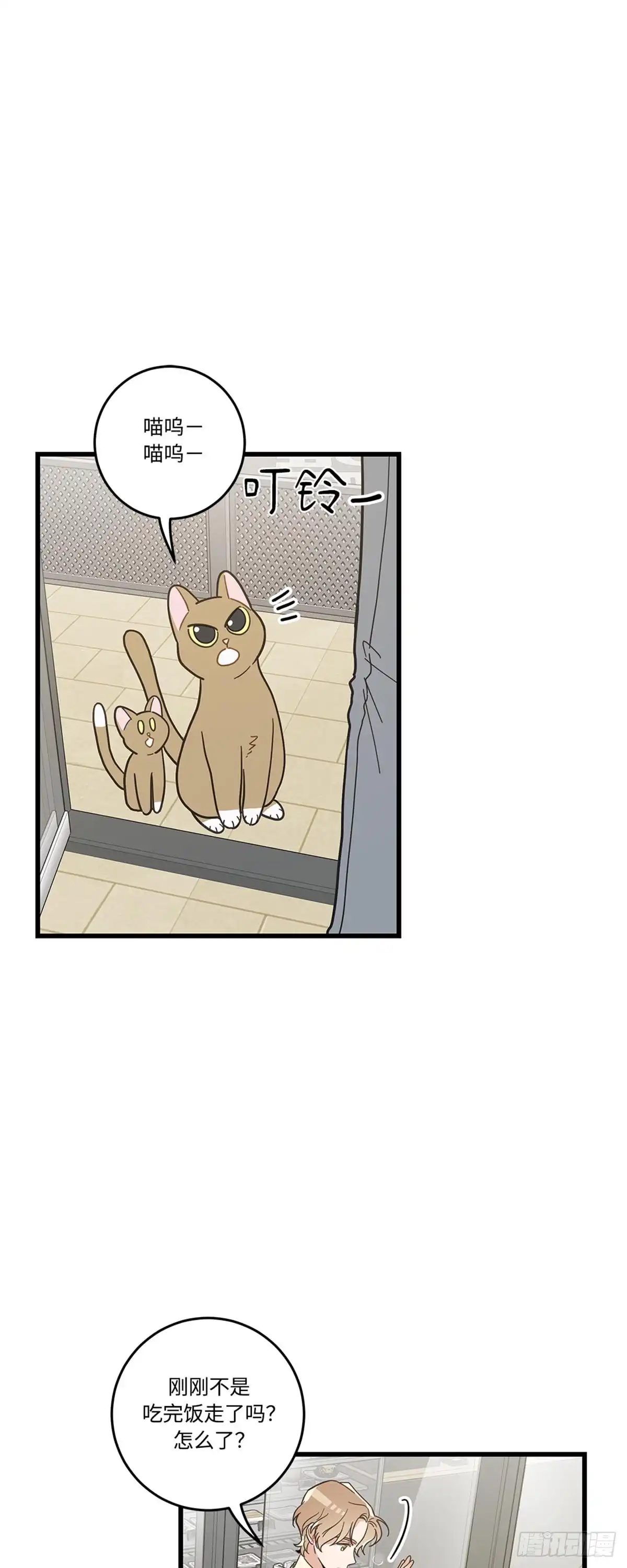我独一无二的猫咪 第18话 第11页