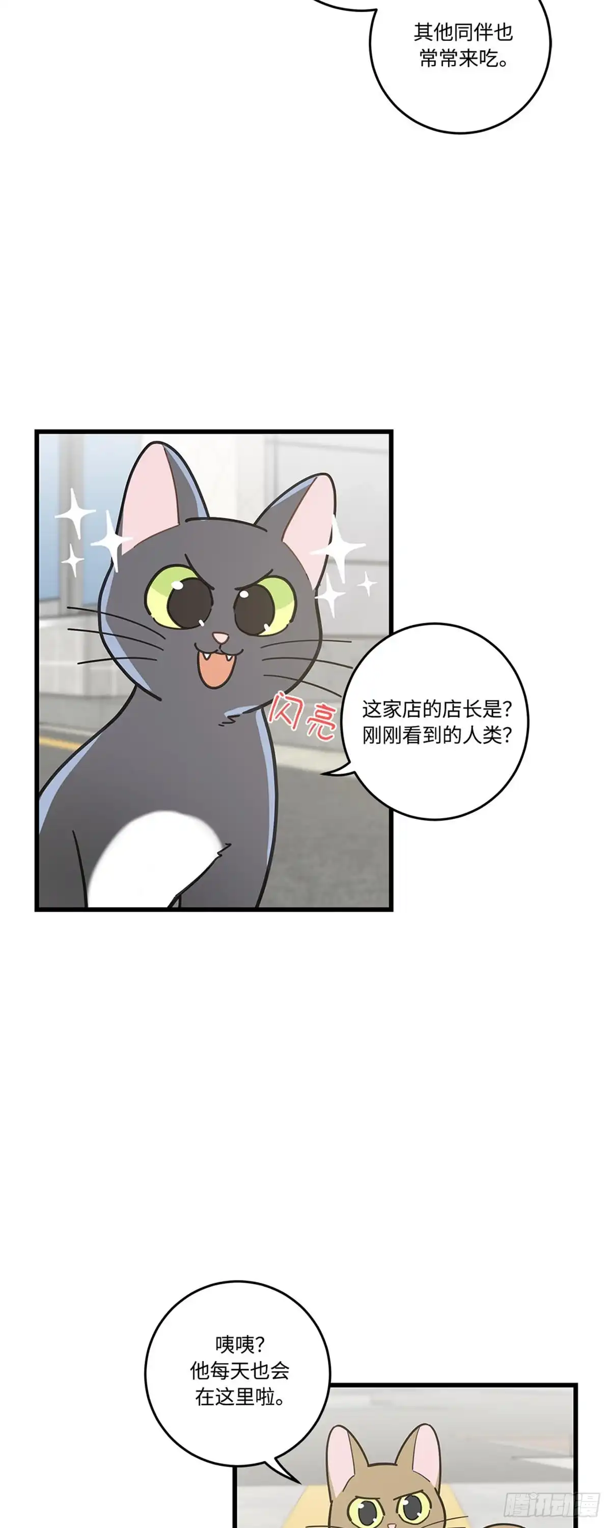我独一无二的猫咪 第18话 第4页
