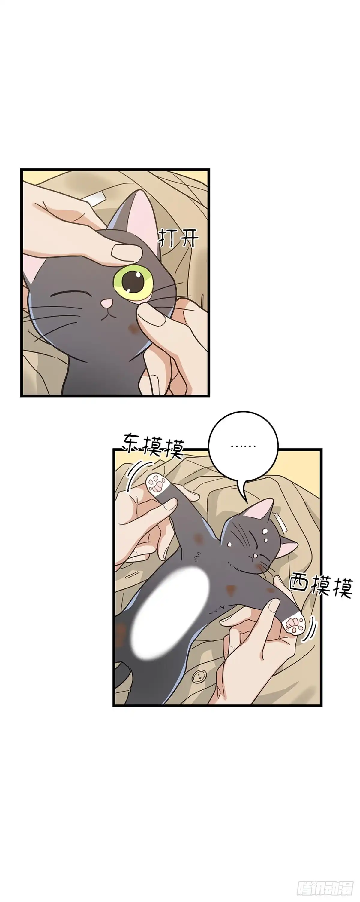 我独一无二的猫咪 第18话 第24页
