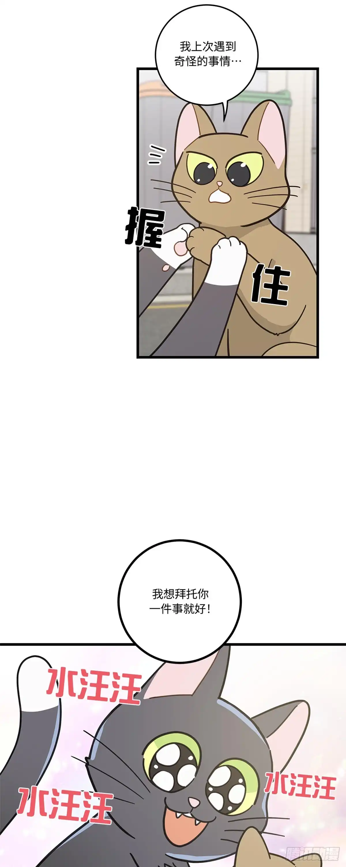 我独一无二的猫咪 第18话 第6页