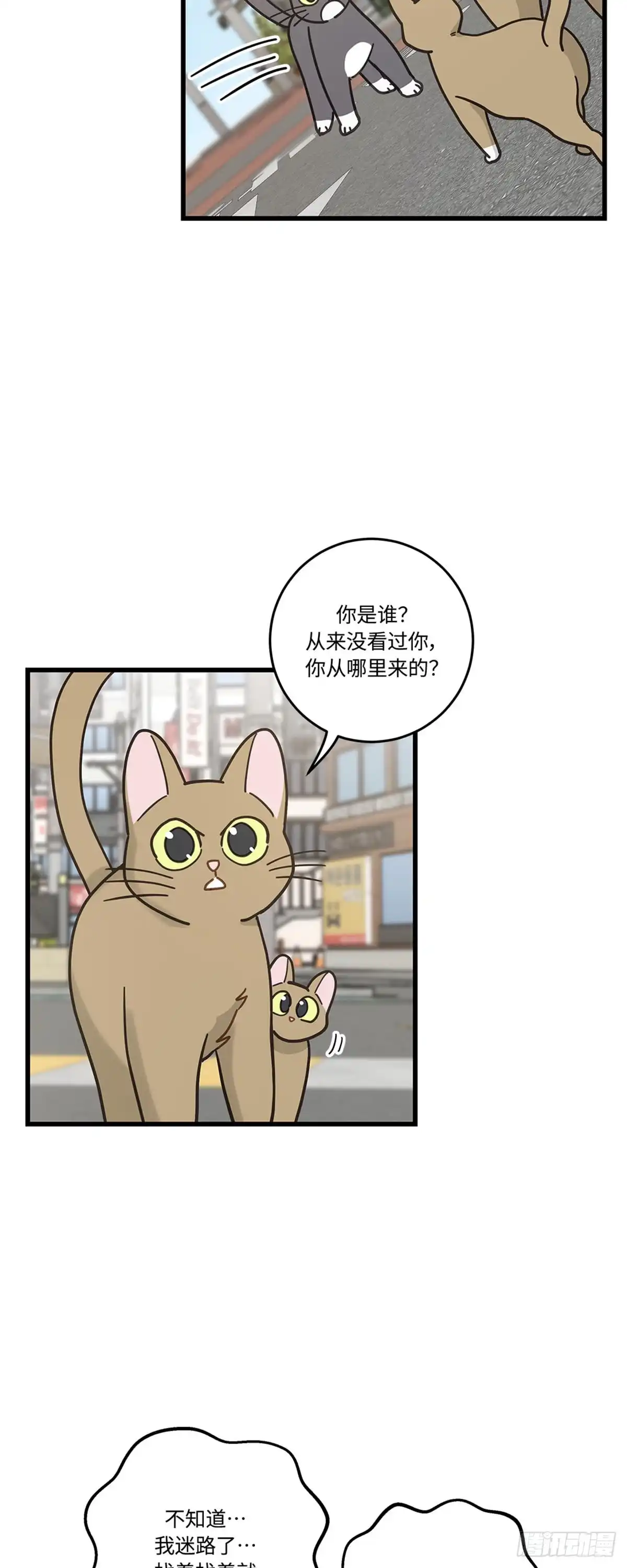 我独一无二的猫咪 第18话 第2页