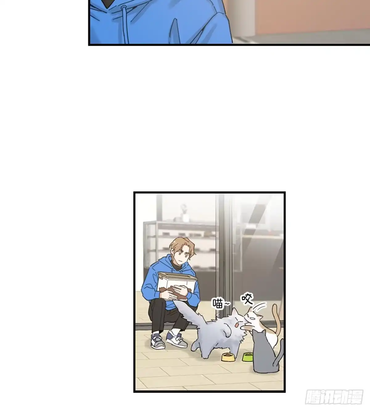 我独一无二的猫咪 第1话 第28页