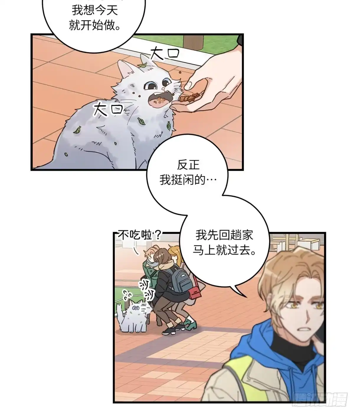 我独一无二的猫咪 第1话 第22页