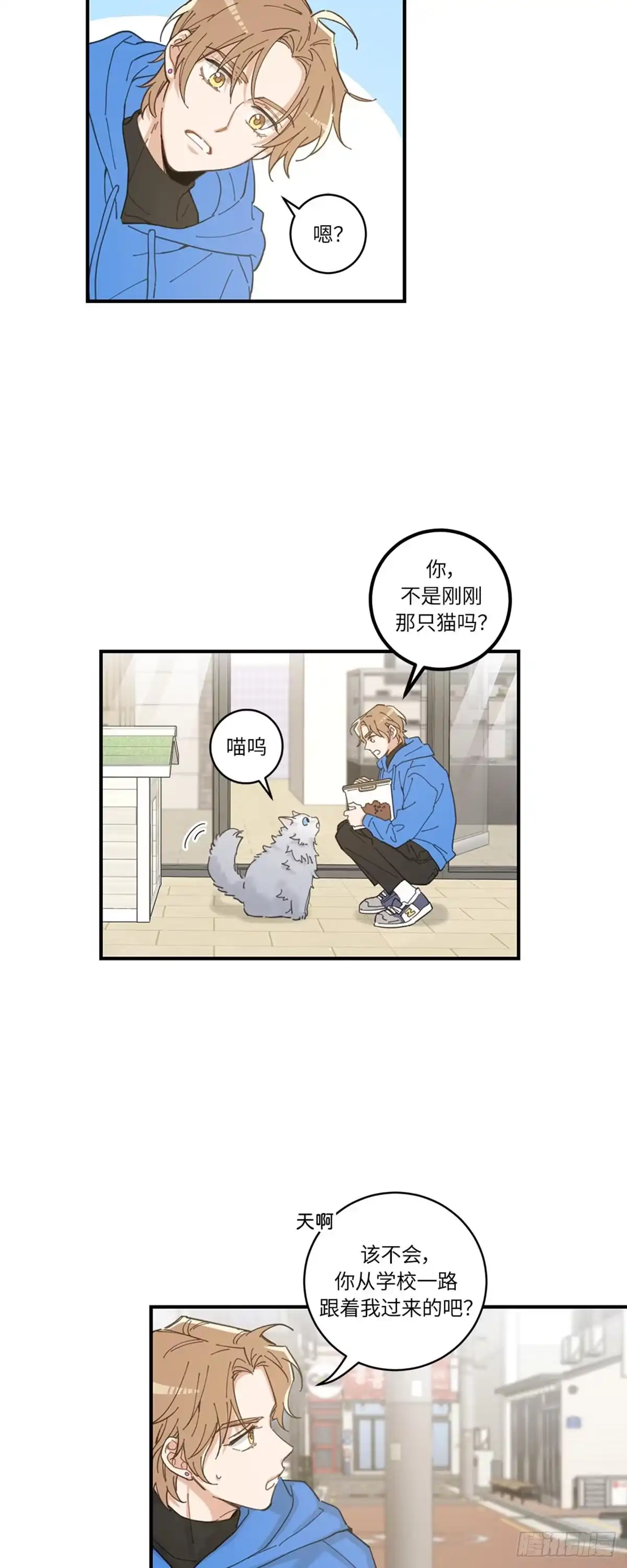 我独一无二的猫咪 第1话 第27页