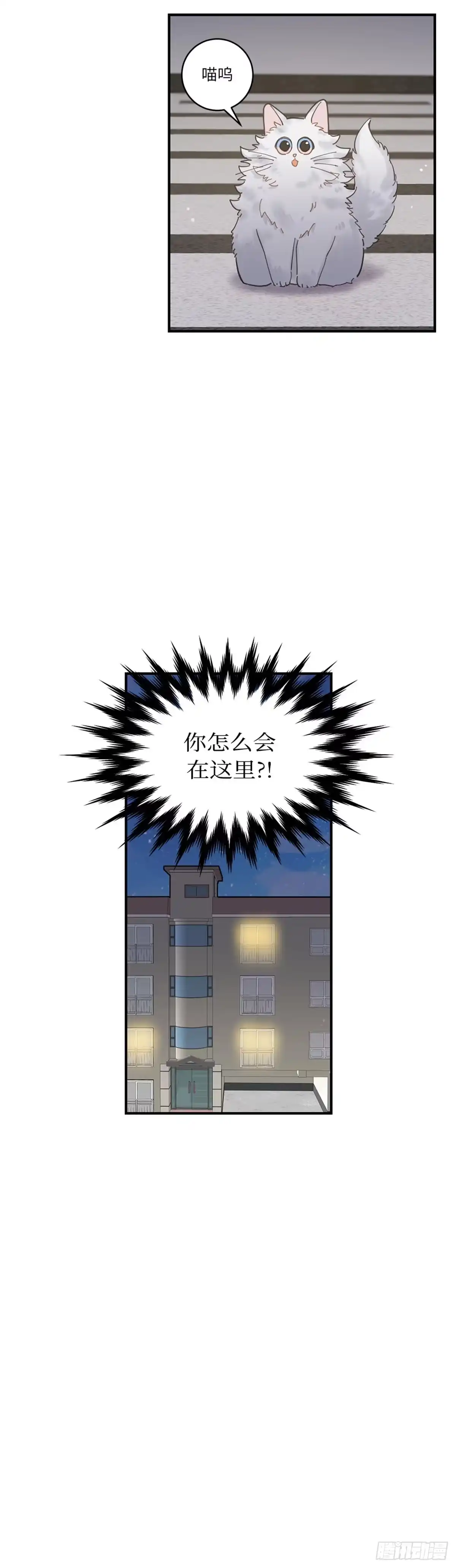 我独一无二的猫咪 第1话 第32页