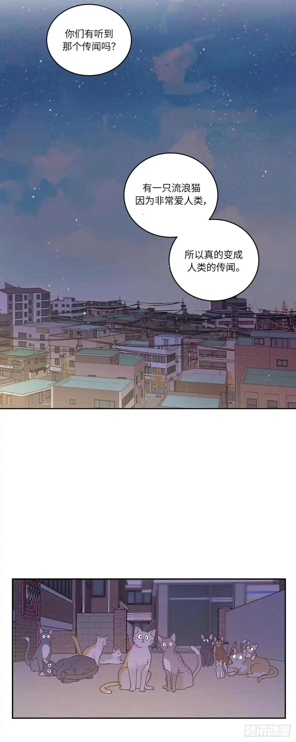 我独一无二的猫咪 第1话 第2页