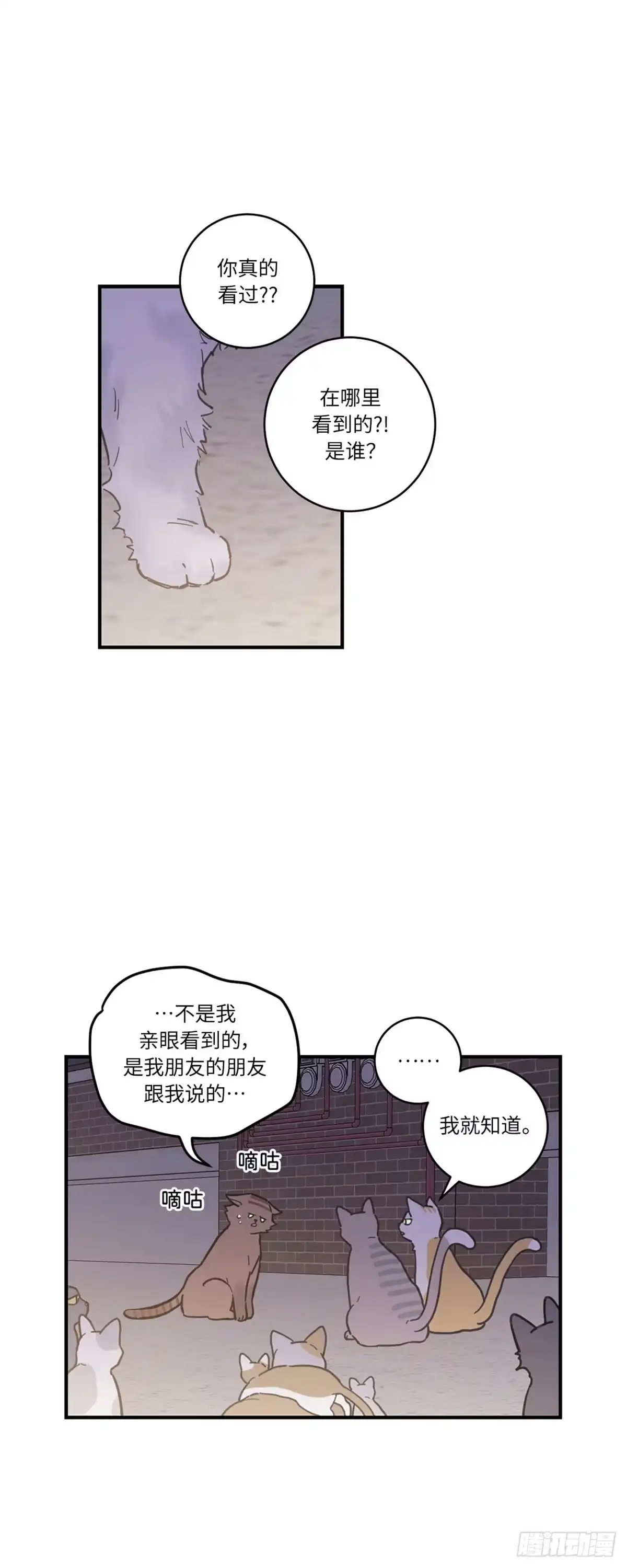 我独一无二的猫咪 第1话 第5页