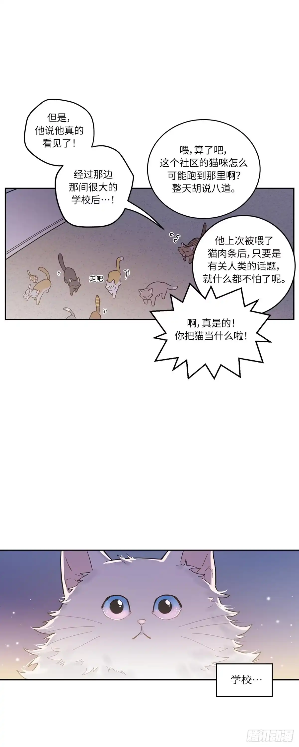 我独一无二的猫咪 第1话 第6页