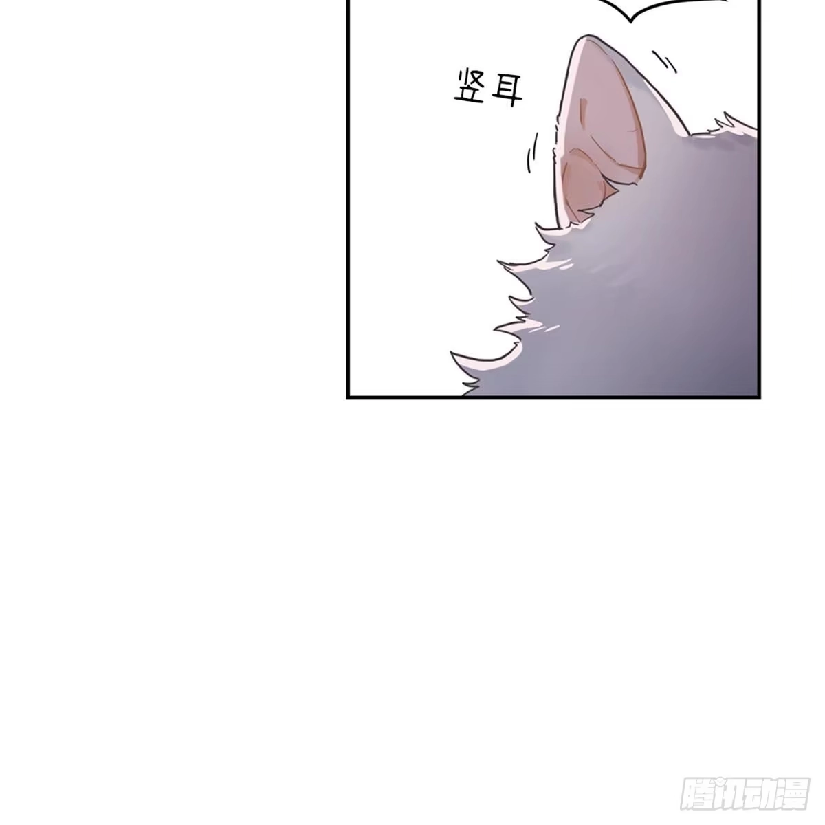 我独一无二的猫咪 第1话 第4页