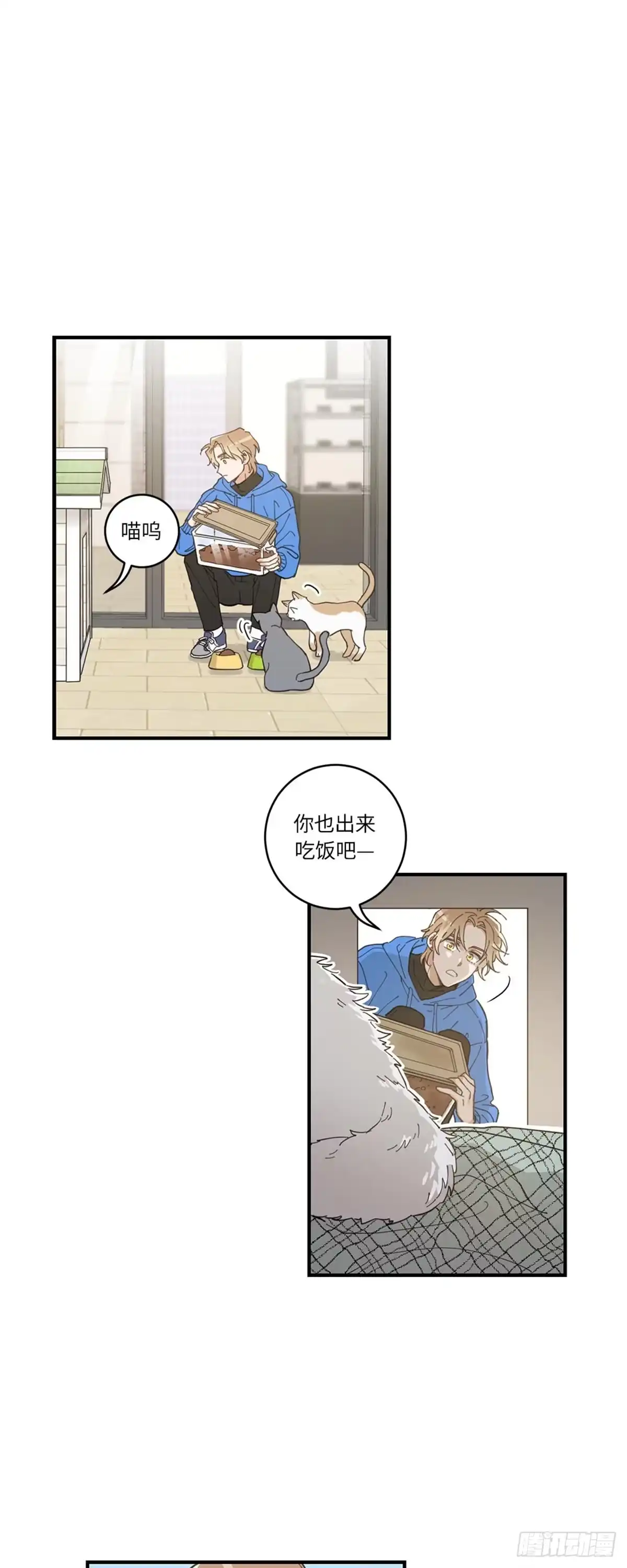 我独一无二的猫咪 第1话 第26页