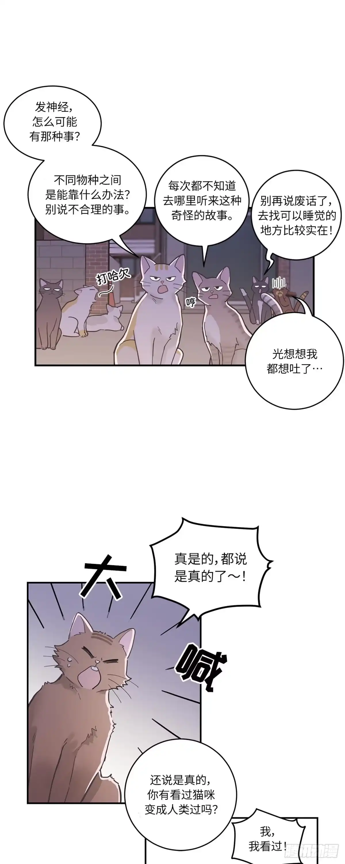 我独一无二的猫咪 第1话 第3页