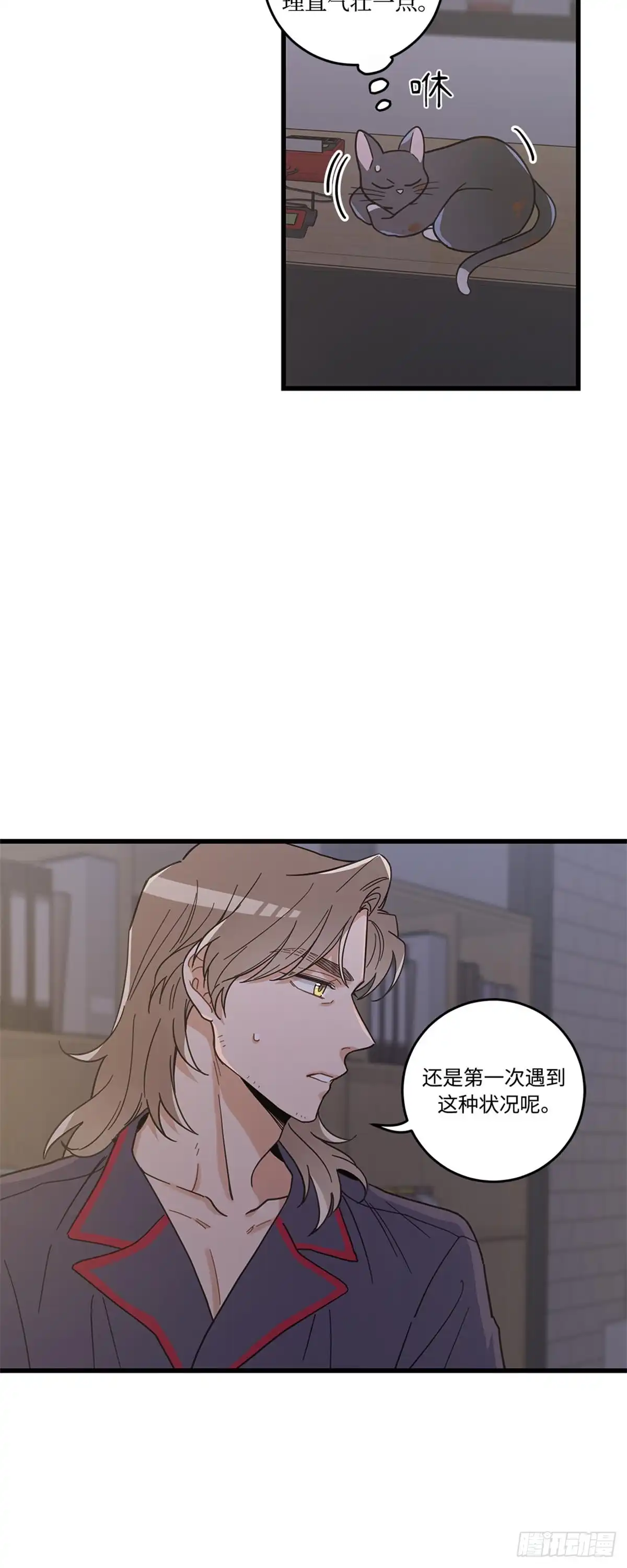 我独一无二的猫咪 第19话 第17页