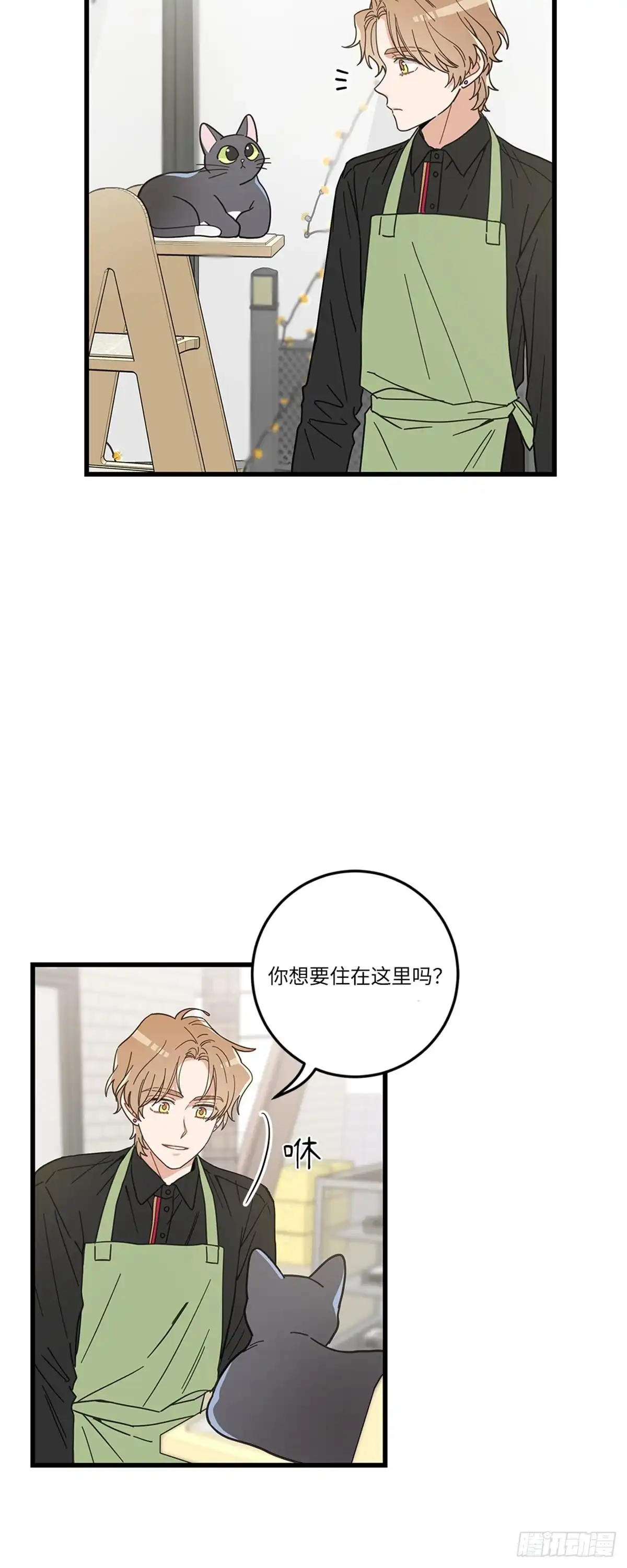 我独一无二的猫咪 第19话 第30页