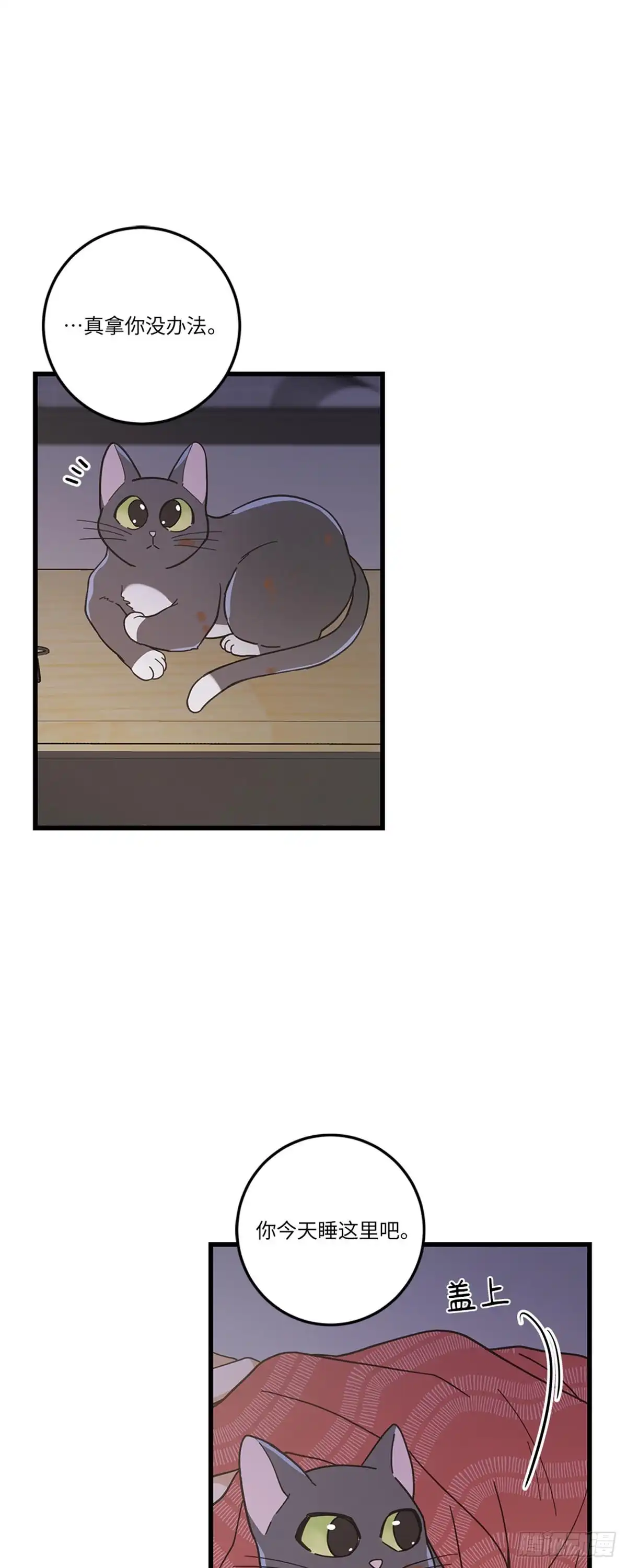 我独一无二的猫咪 第19话 第20页