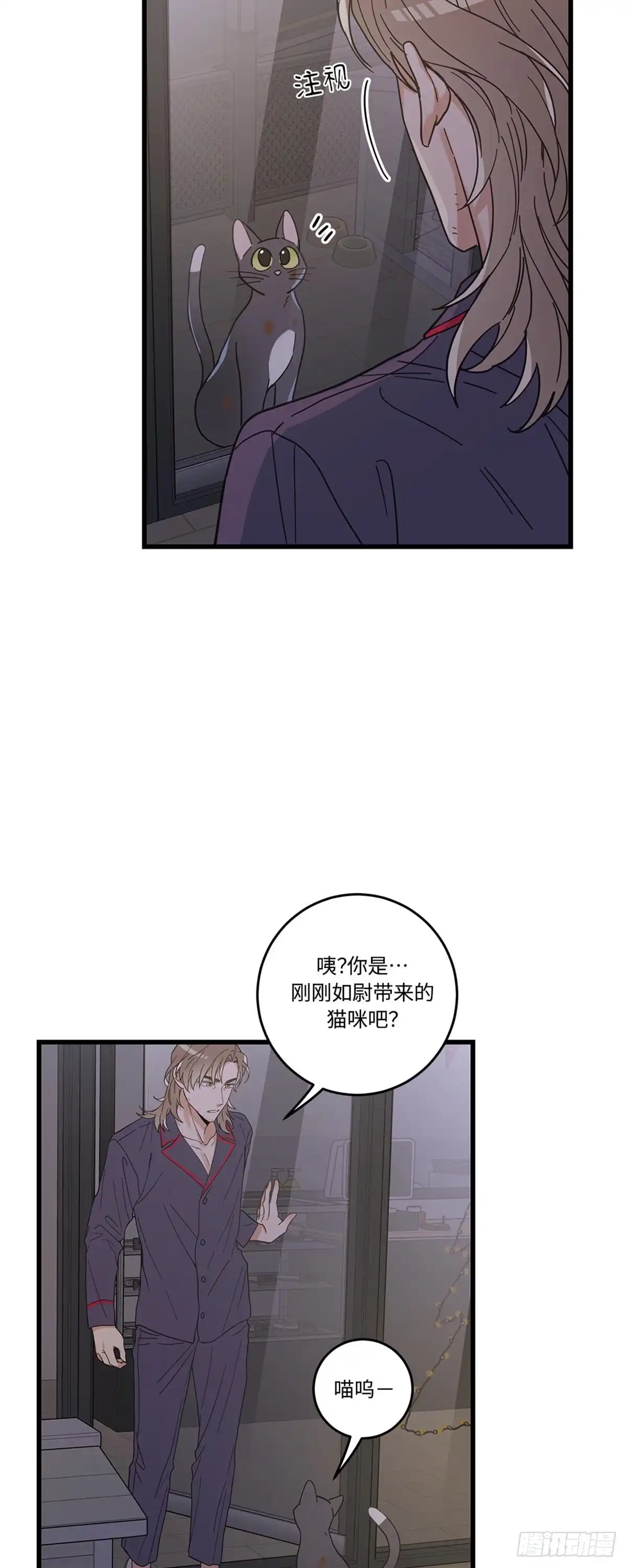 我独一无二的猫咪 第19话 第14页
