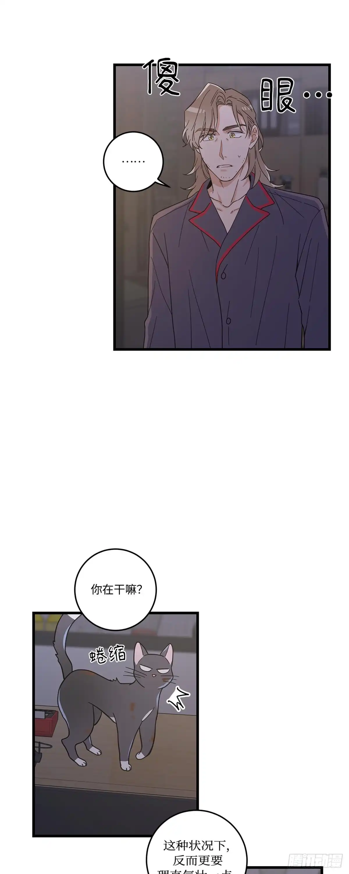 我独一无二的猫咪 第19话 第16页