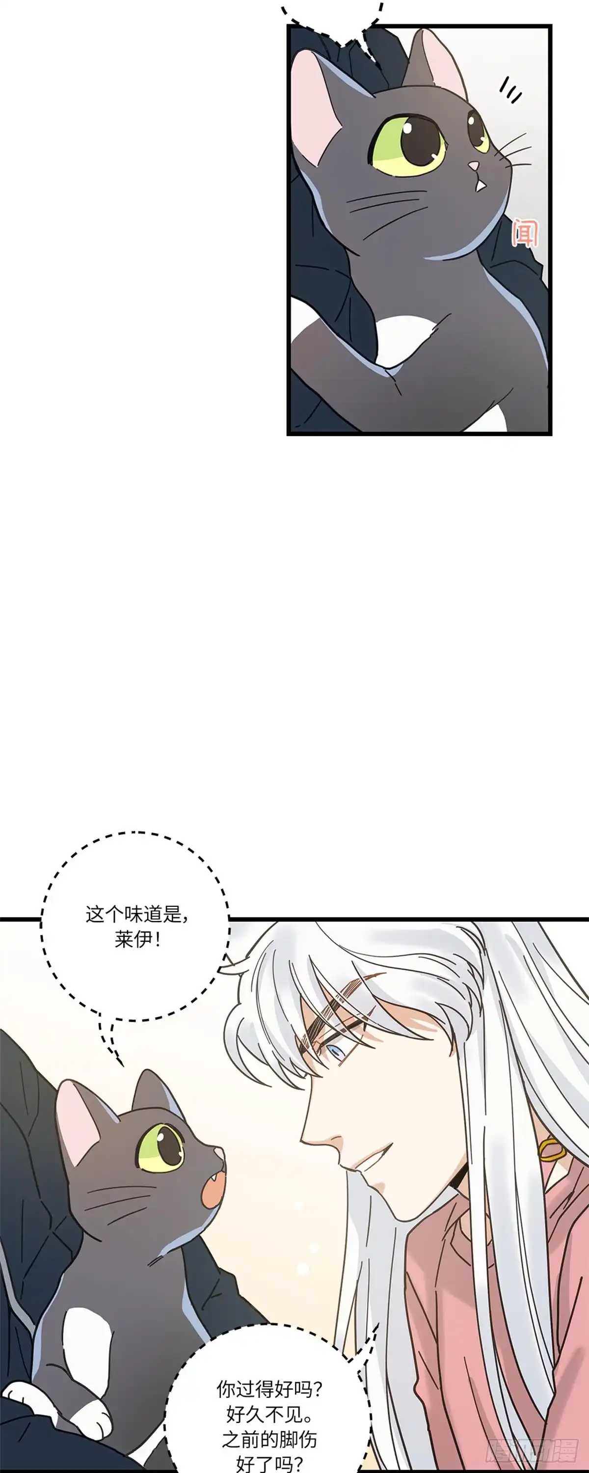 我独一无二的猫咪 第20话 第30页