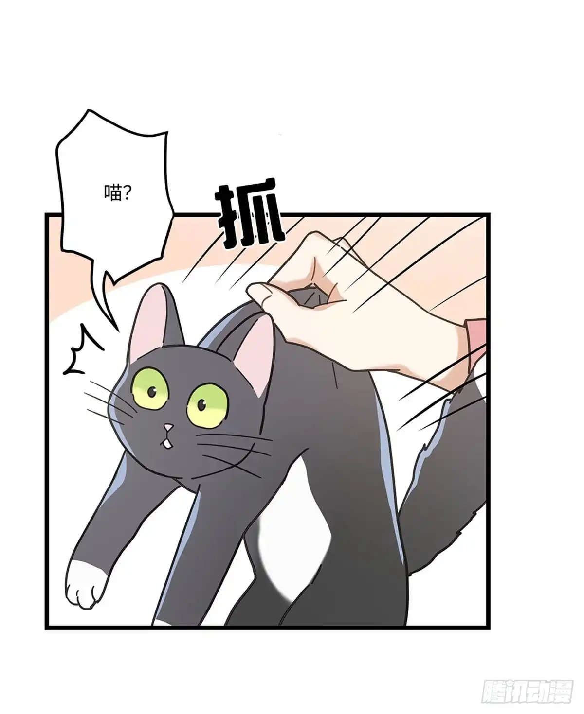 我独一无二的猫咪 第20话 第23页