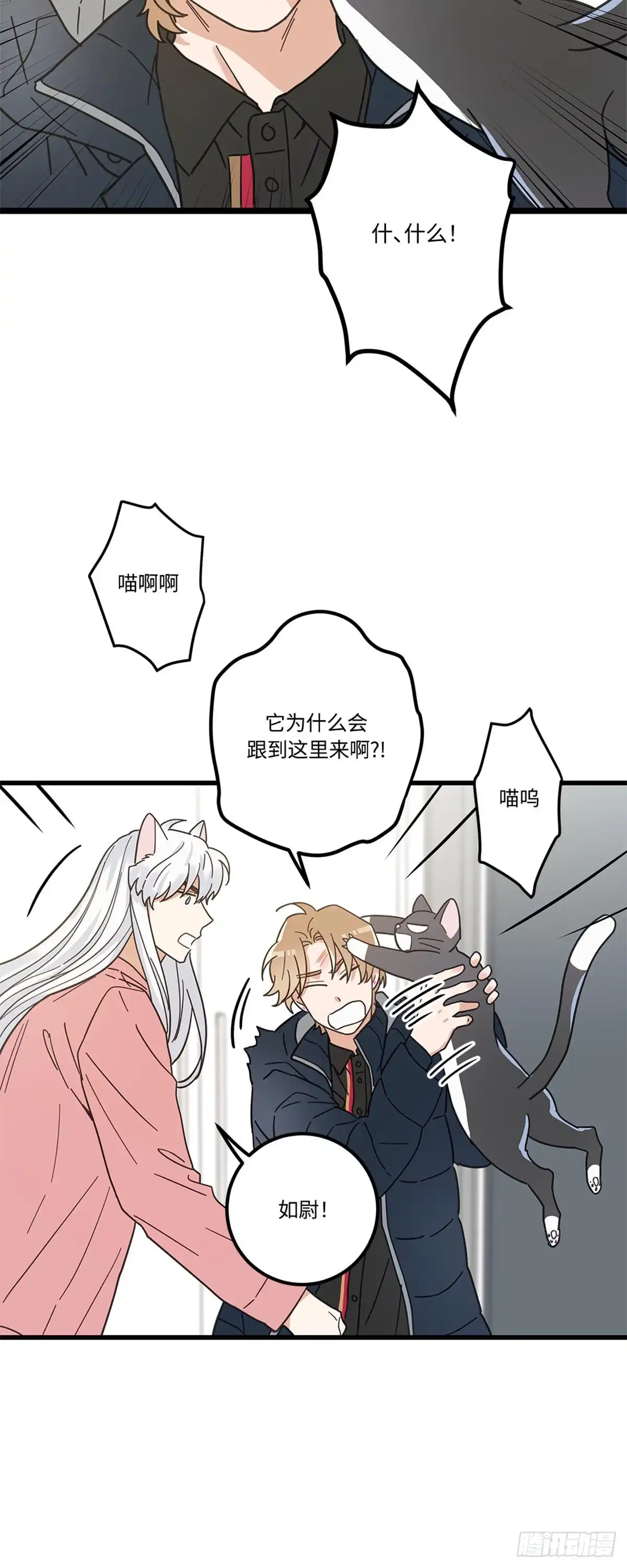 我独一无二的猫咪 第20话 第22页