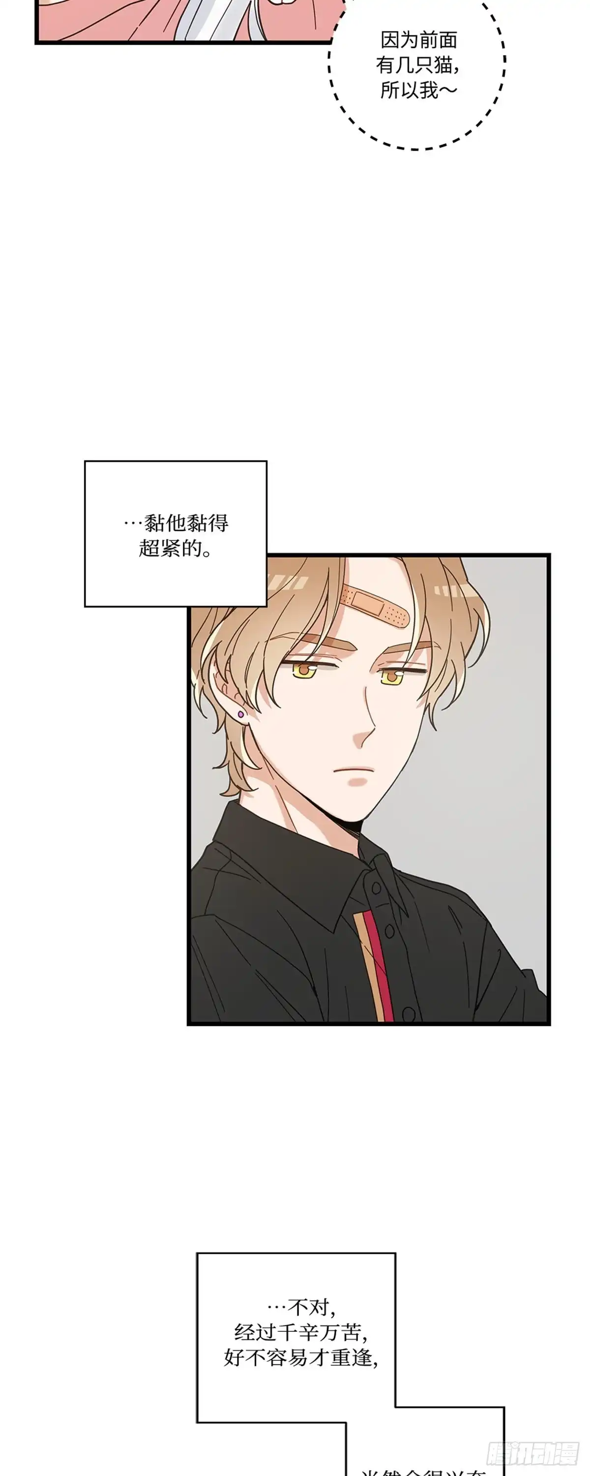 我独一无二的猫咪 第21话 第16页