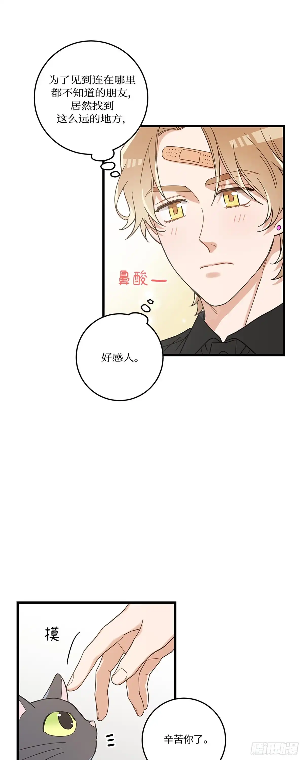 我独一无二的猫咪 第21话 第5页