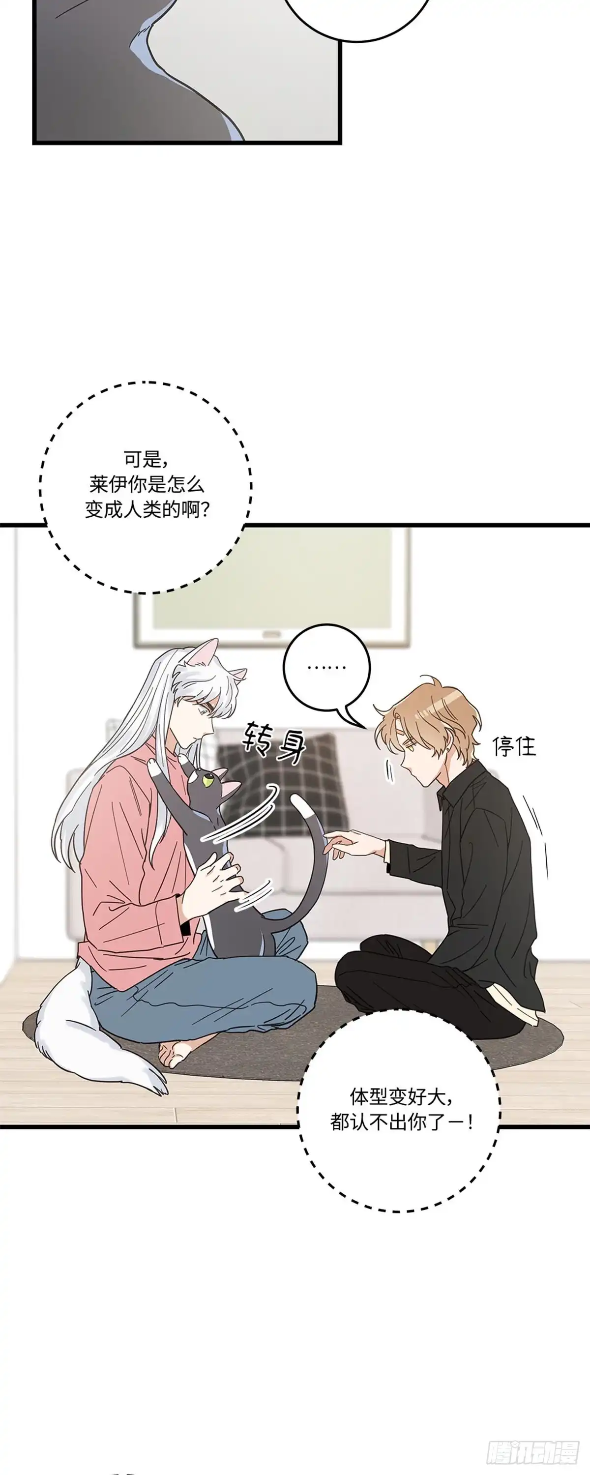 我独一无二的猫咪 第21话 第6页