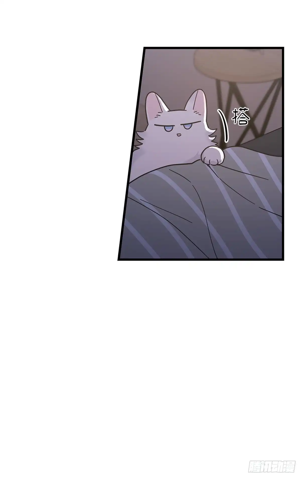 我独一无二的猫咪 第21话 第36页