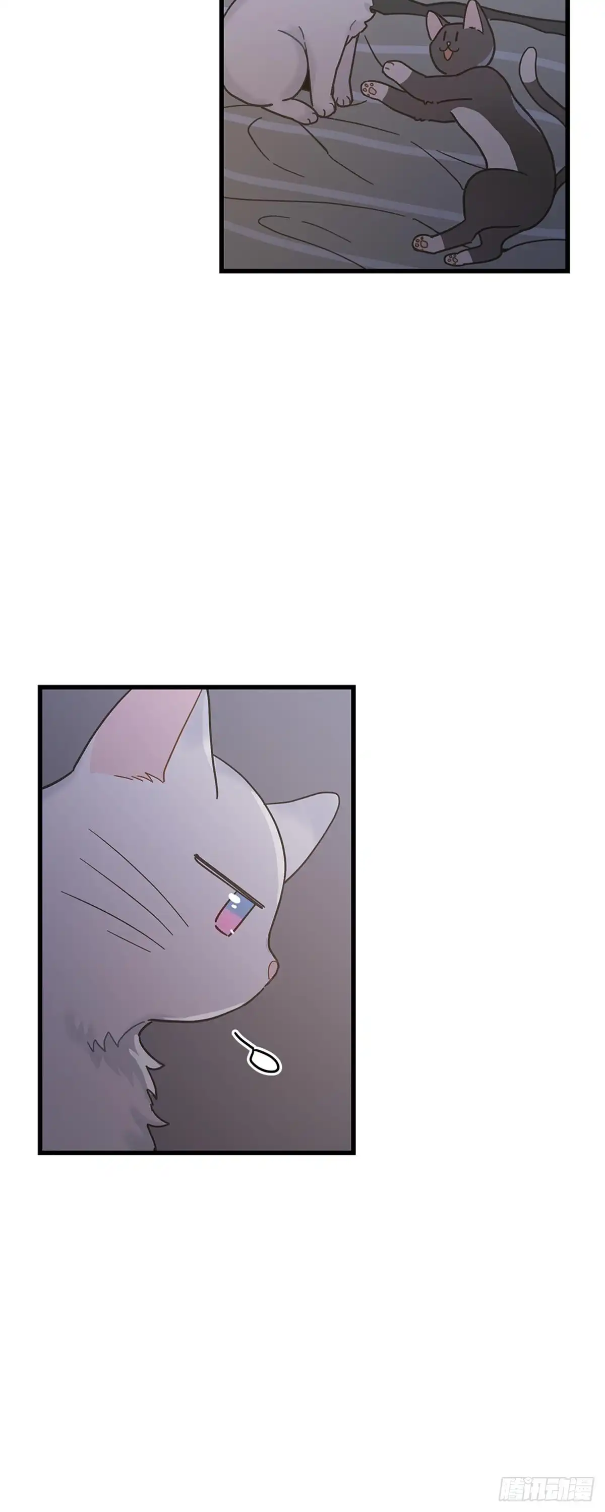 我独一无二的猫咪 第22话 第12页