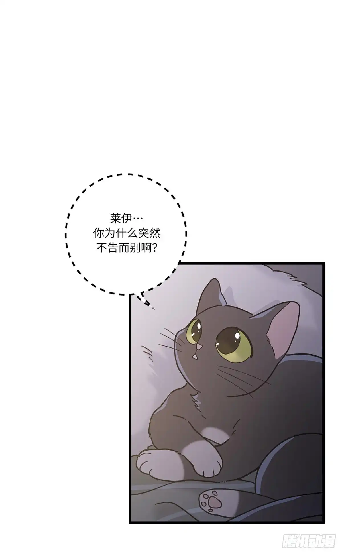我独一无二的猫咪 第22话 第14页