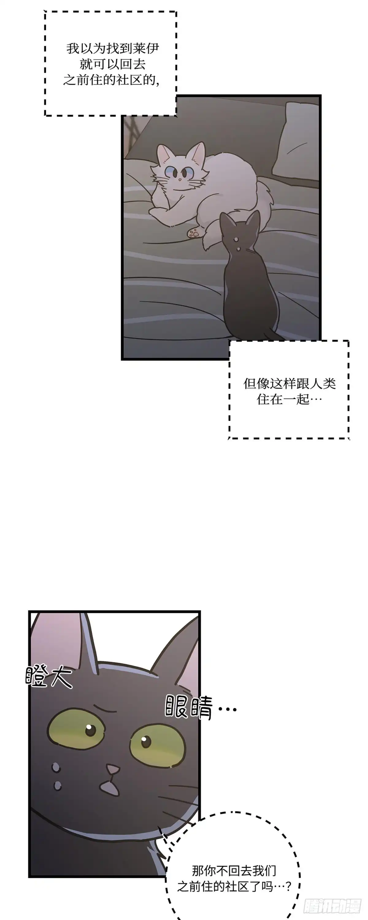 我独一无二的猫咪 第22话 第19页