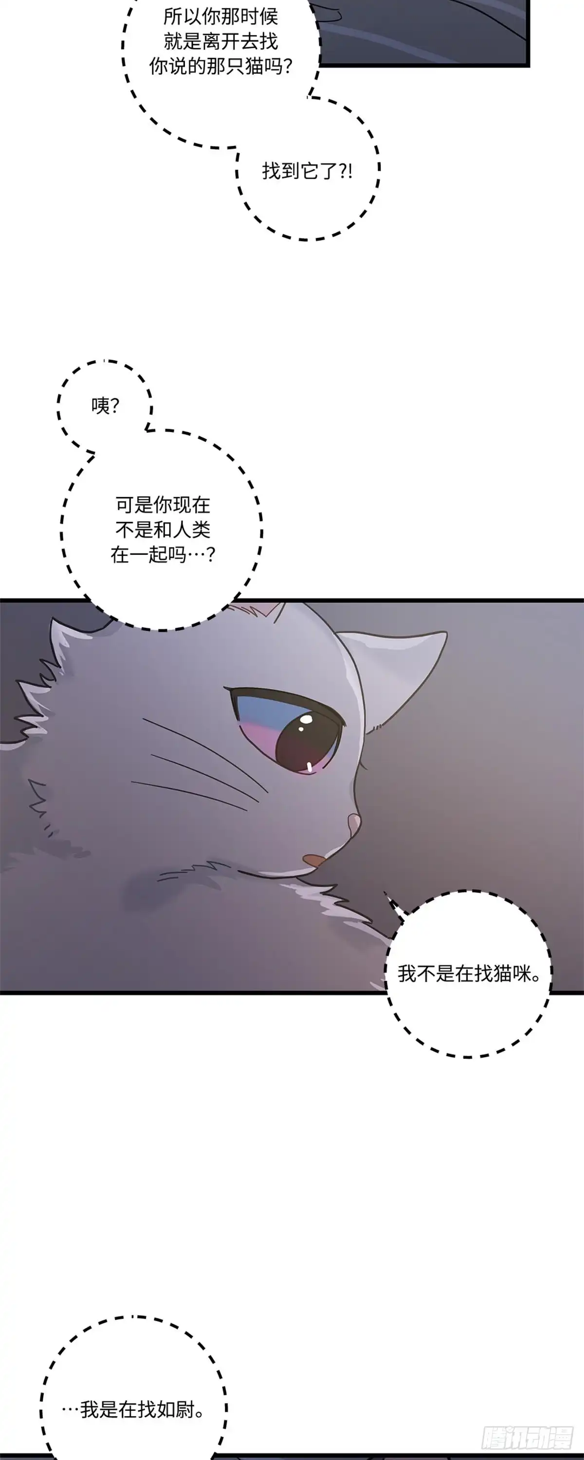 我独一无二的猫咪 第22话 第16页