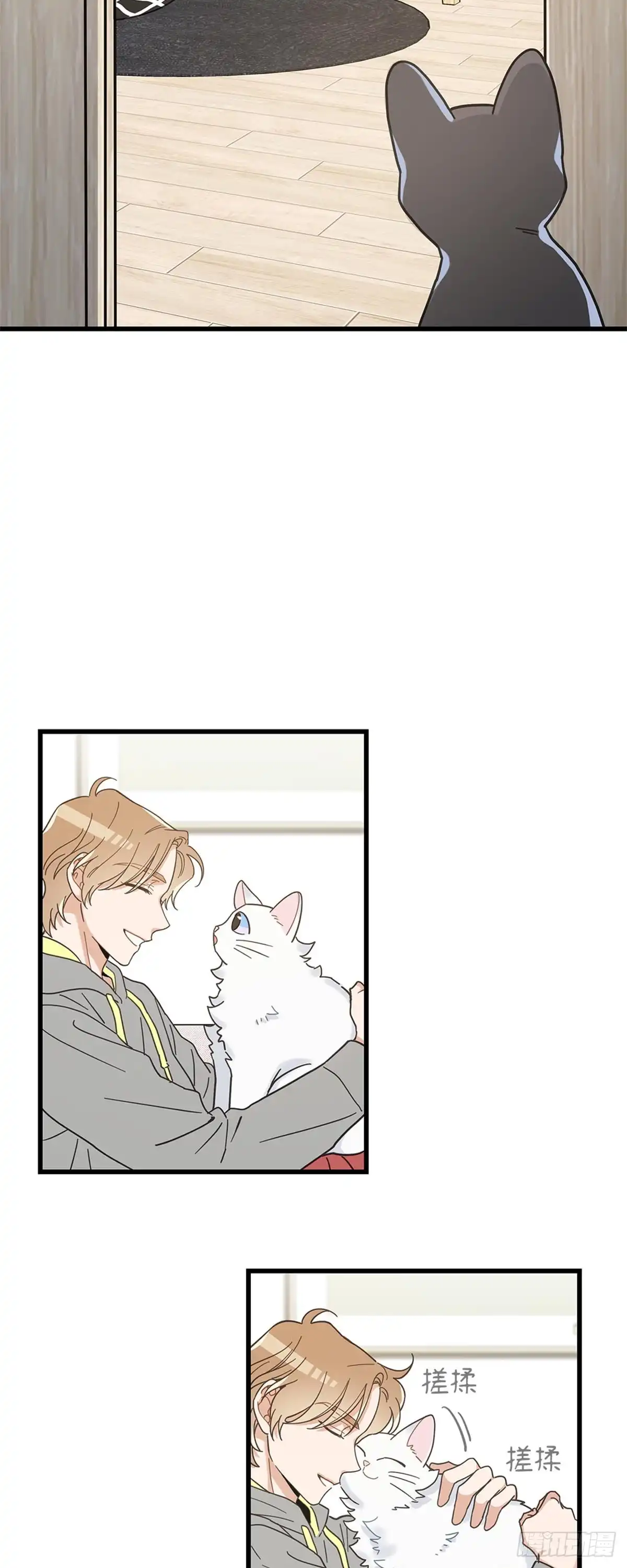 我独一无二的猫咪 第22话 第29页