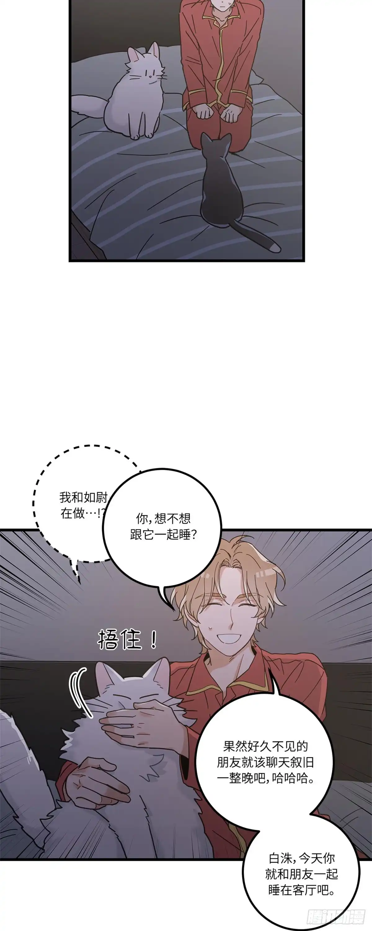 我独一无二的猫咪 第22话 第6页