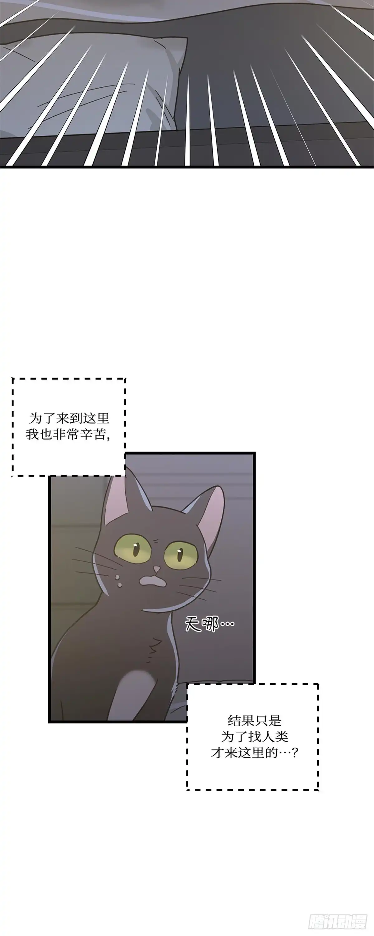 我独一无二的猫咪 第22话 第18页