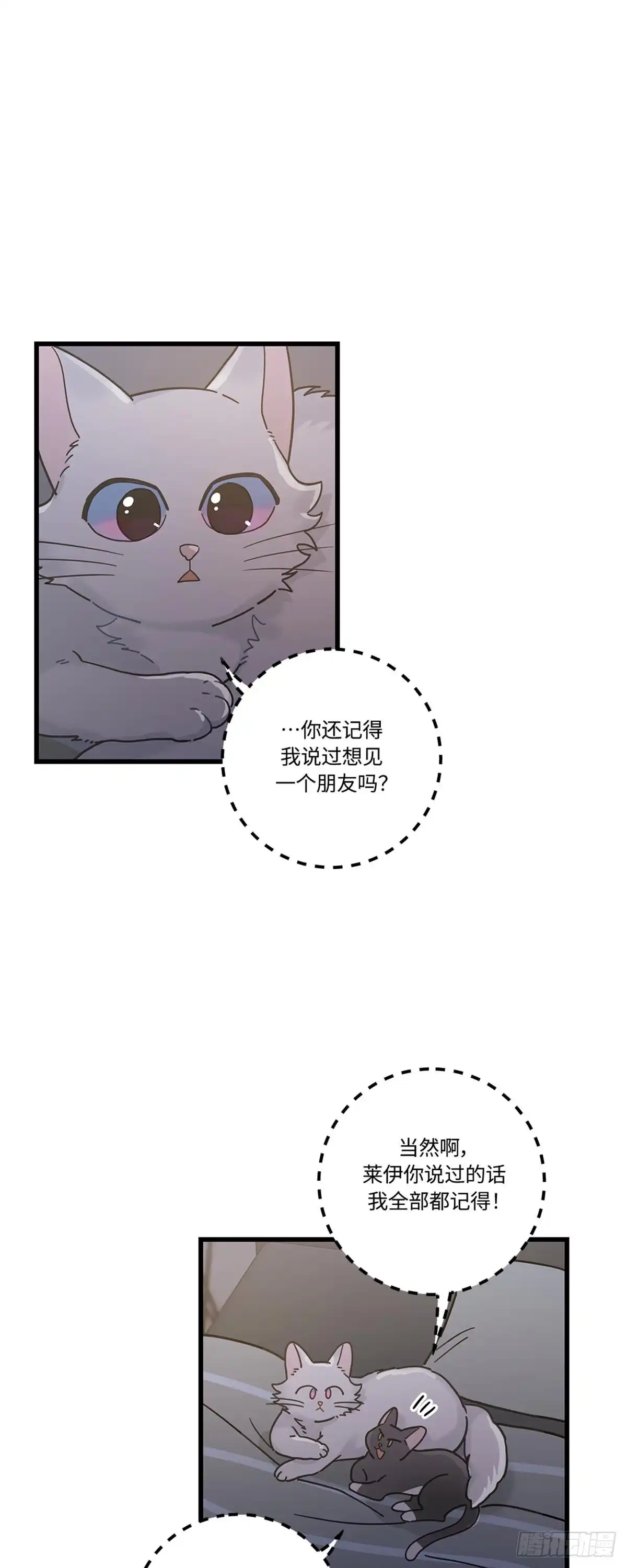 我独一无二的猫咪 第22话 第15页
