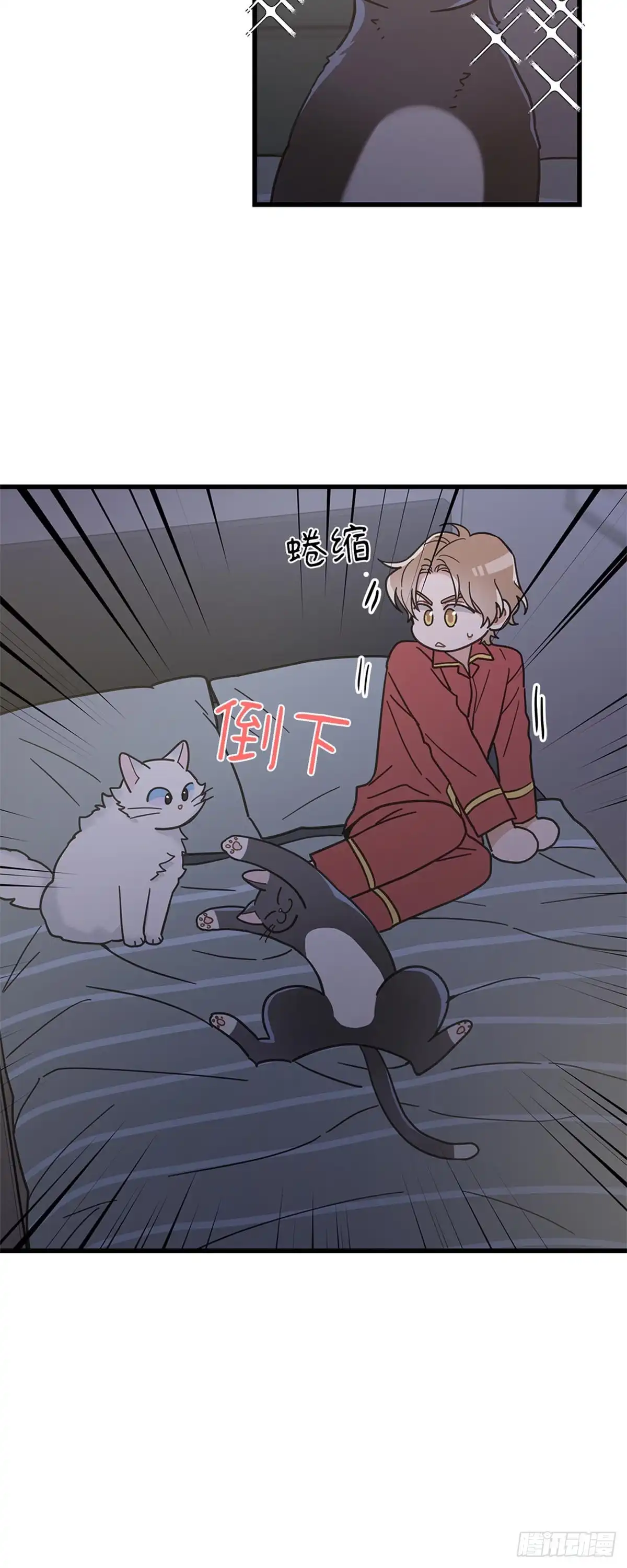 我独一无二的猫咪 第22话 第8页