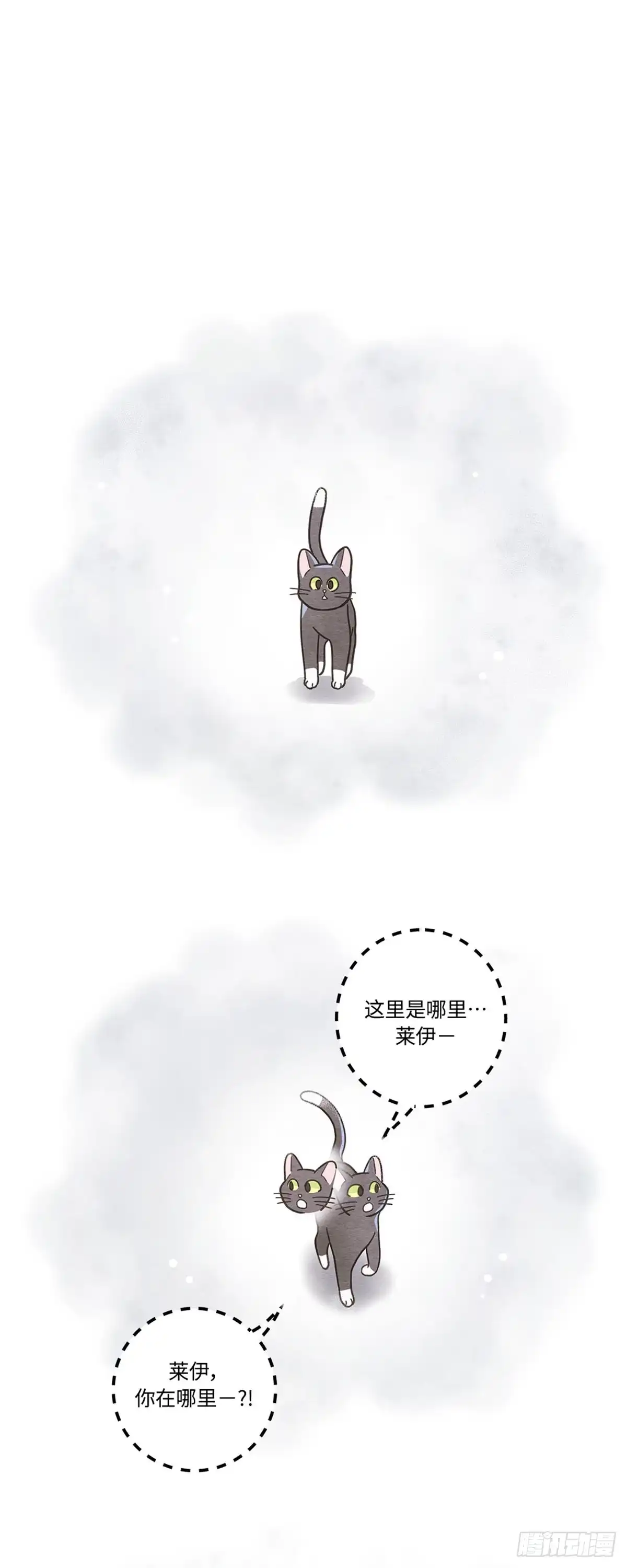 我独一无二的猫咪 第22话 第22页