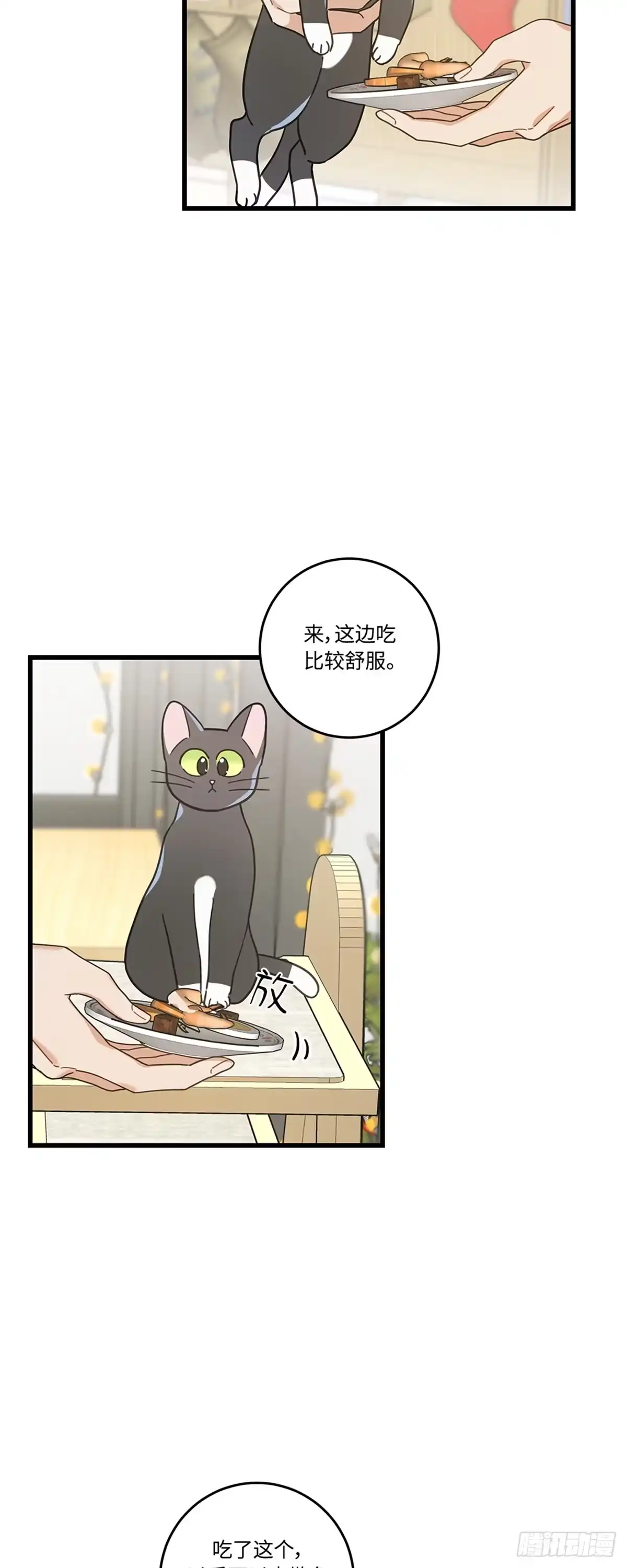 我独一无二的猫咪 第24话 第36页