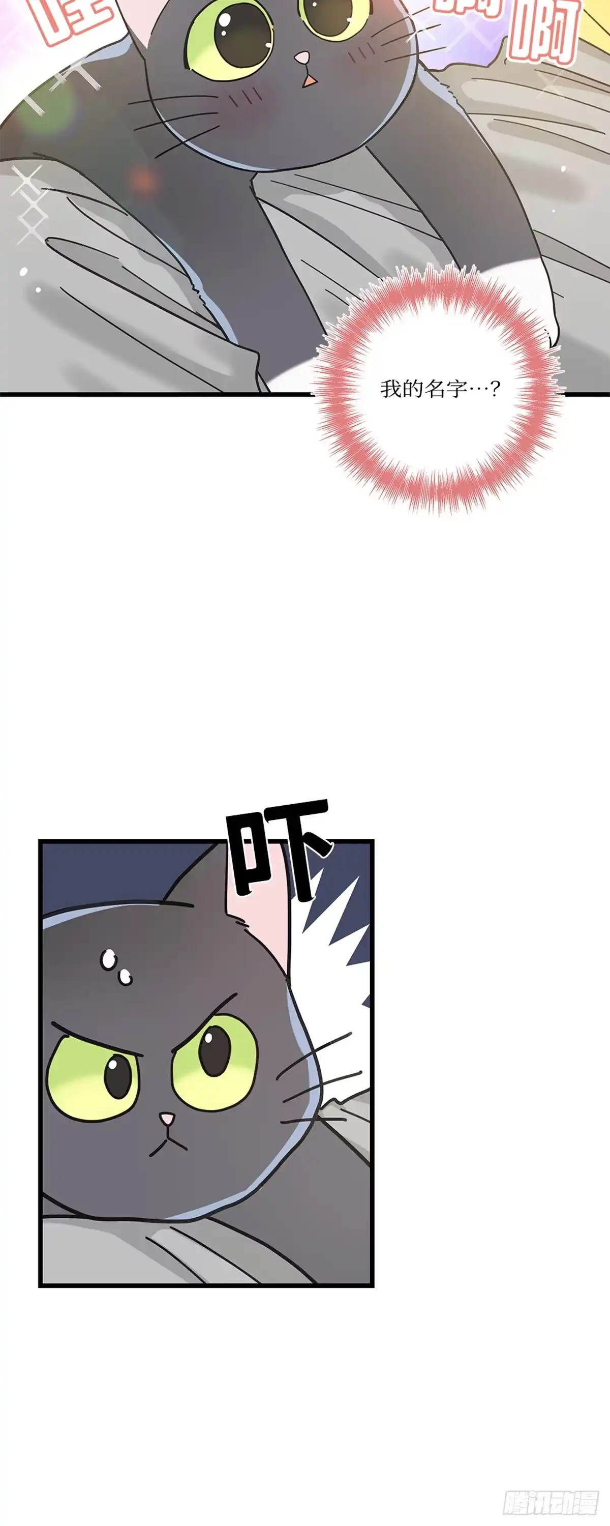 我独一无二的猫咪 第24话 第7页