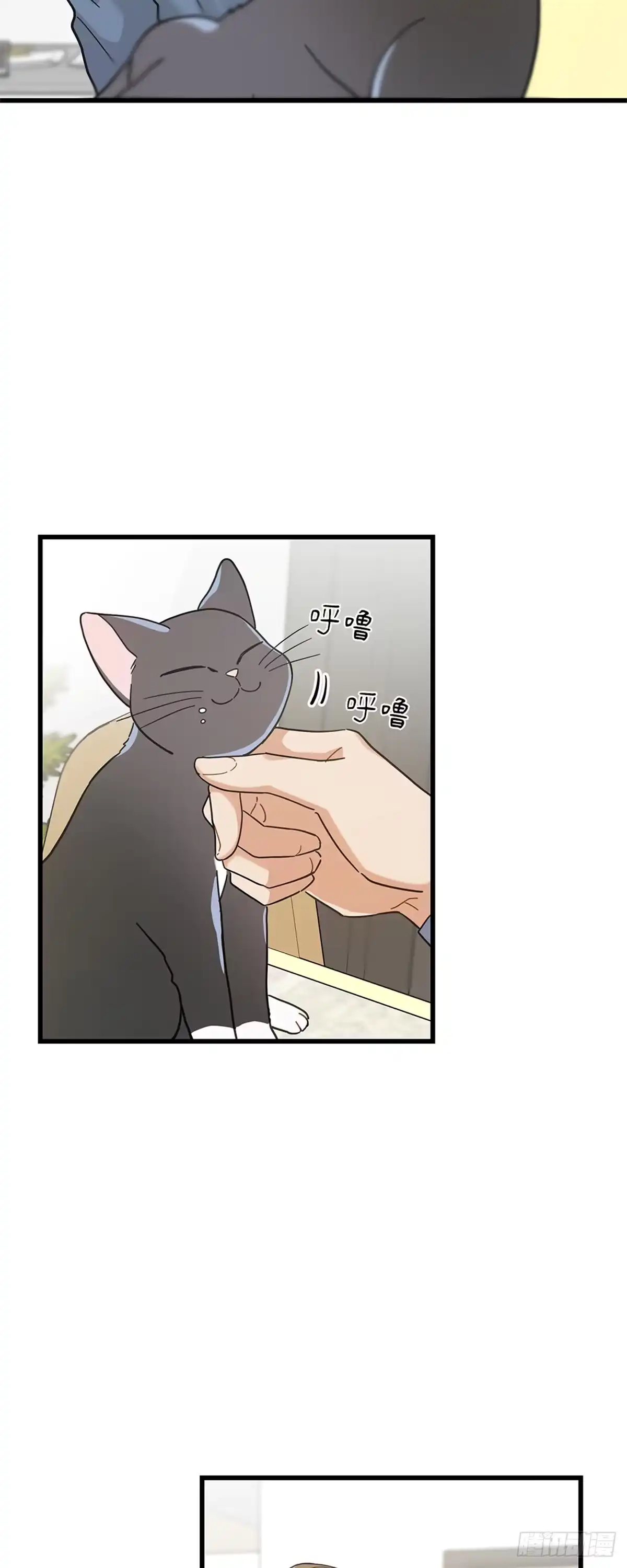 我独一无二的猫咪 第24话 第39页