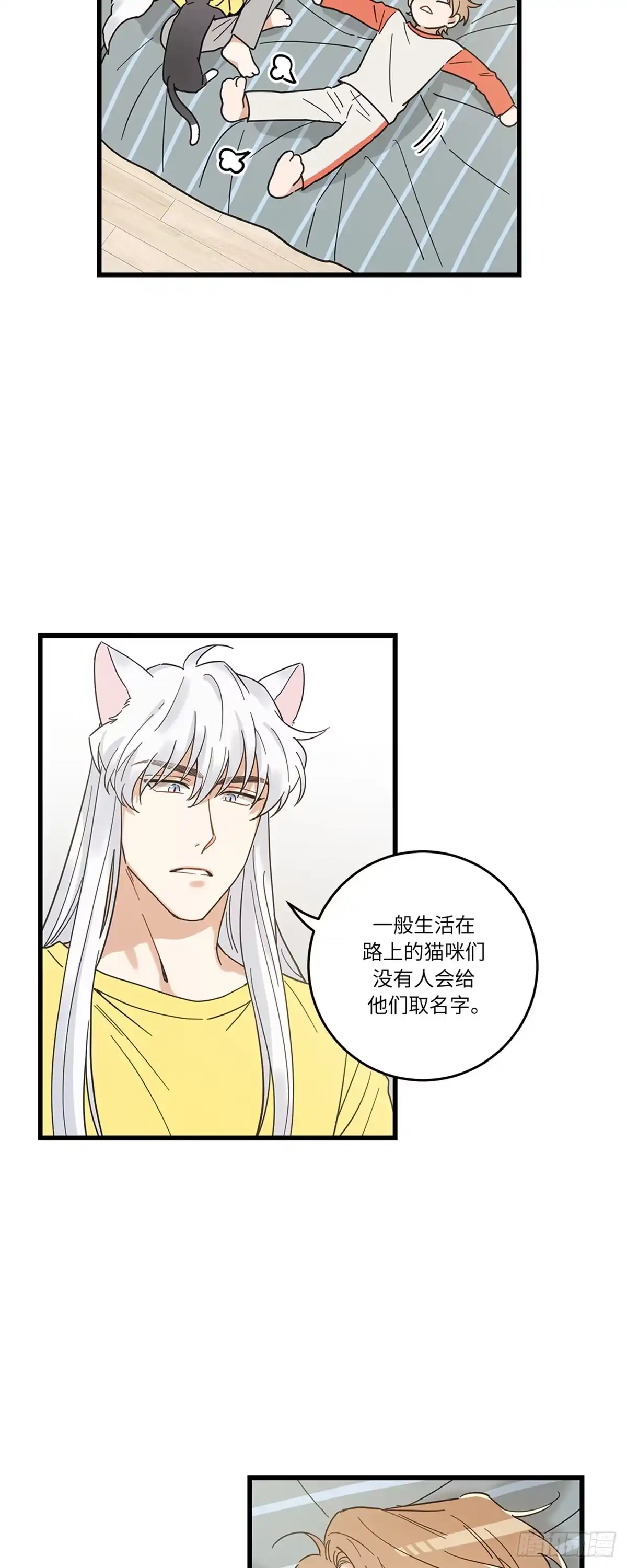 我独一无二的猫咪 第24话 第2页