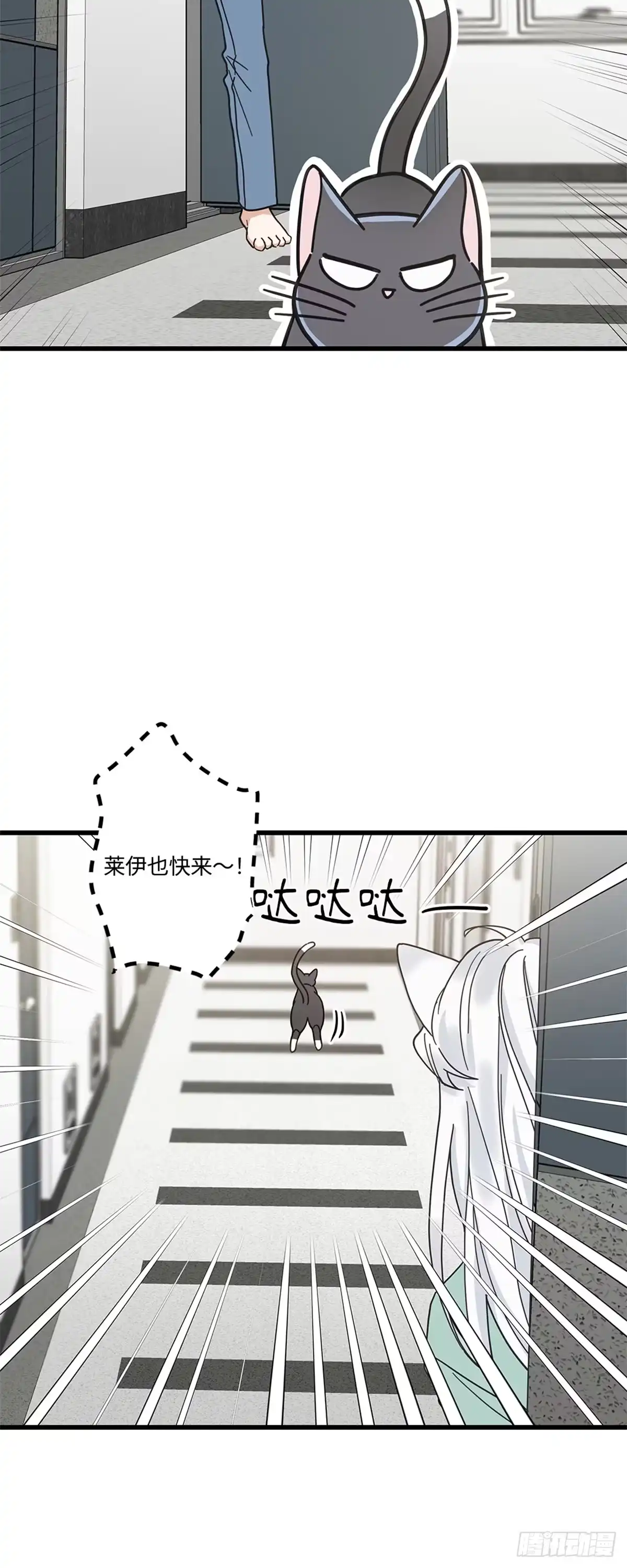 我独一无二的猫咪 第24话 第19页